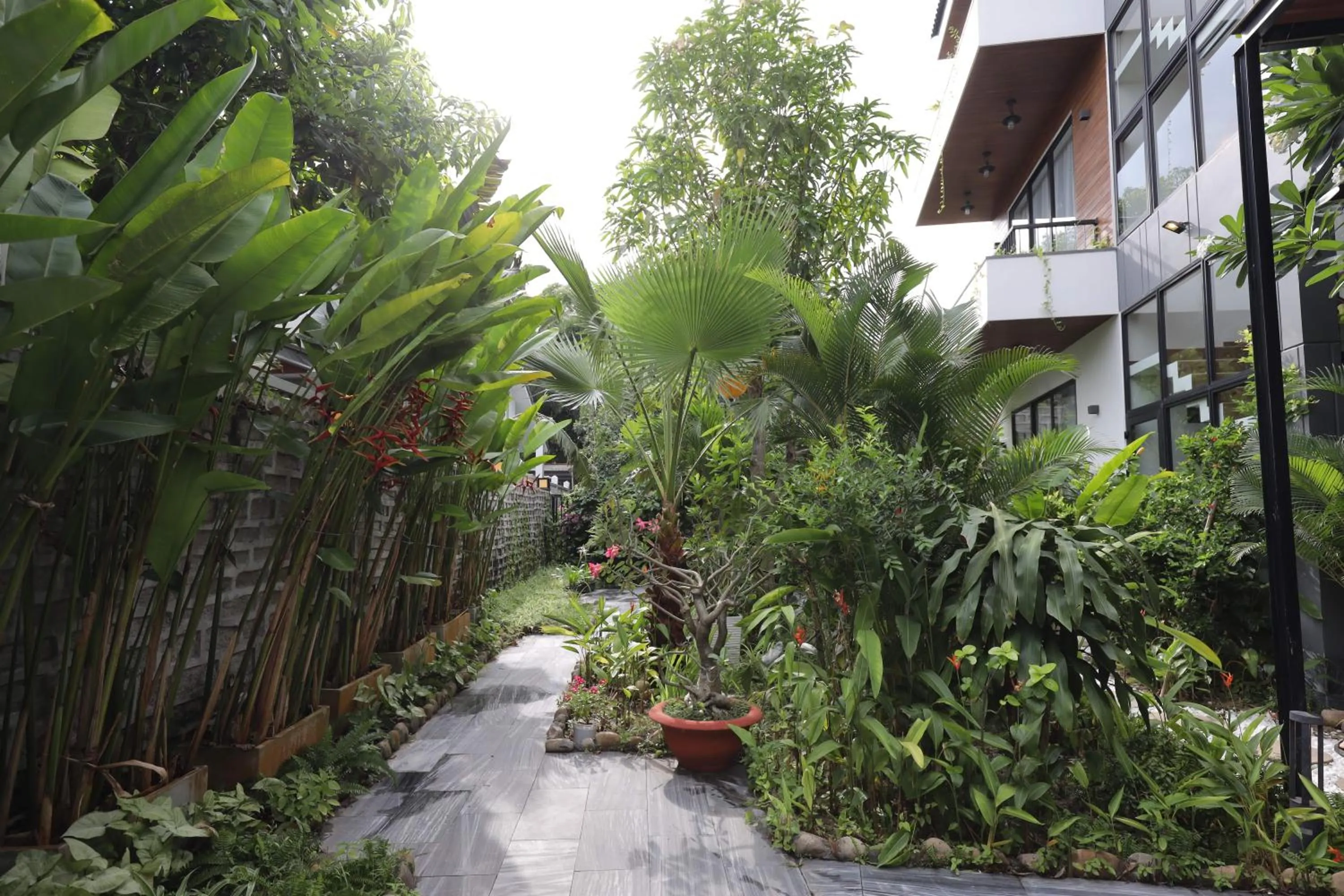 Garden in Charm Champion Villa Hoian