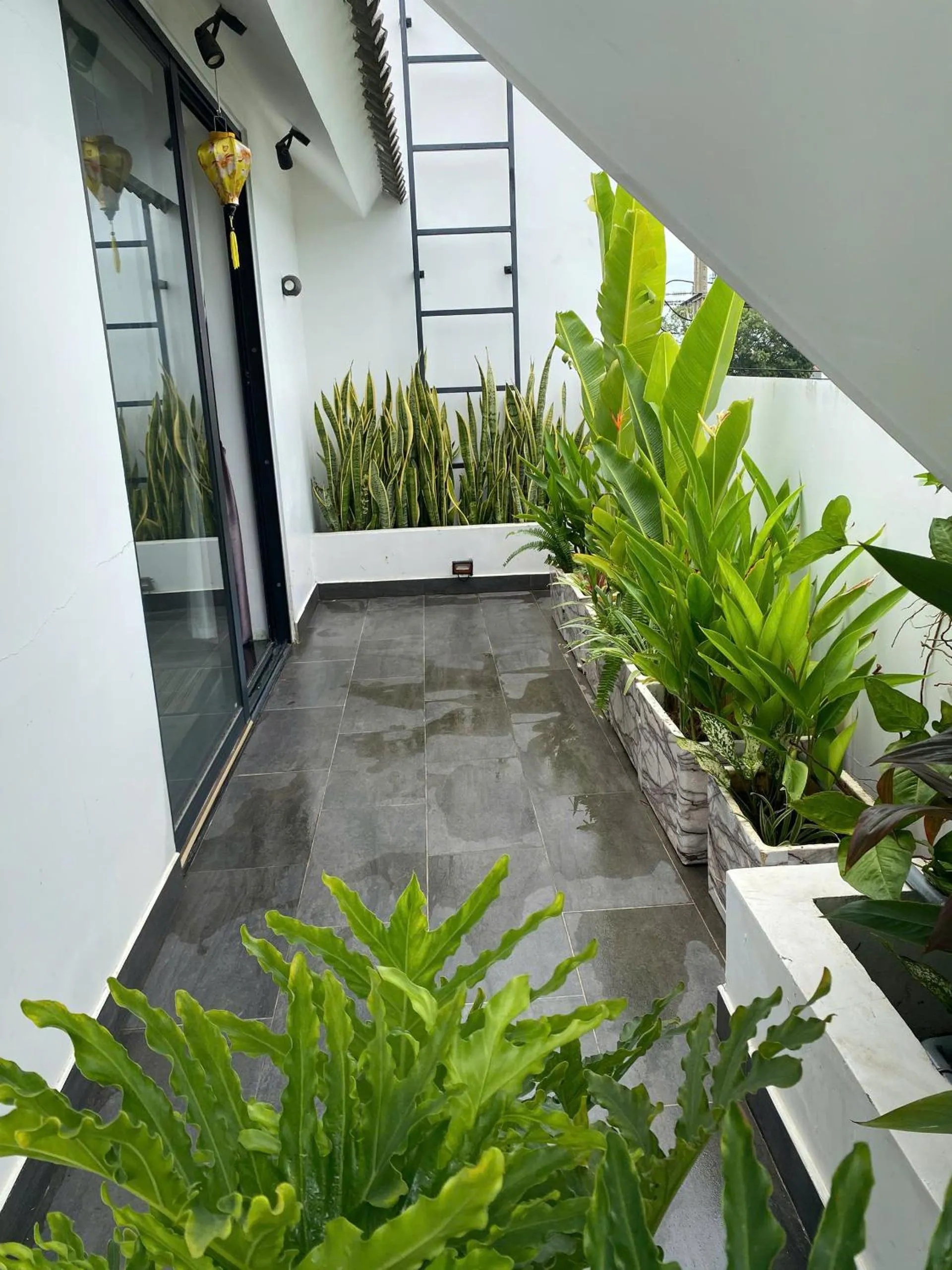 Garden in Charm Champion Villa Hoian