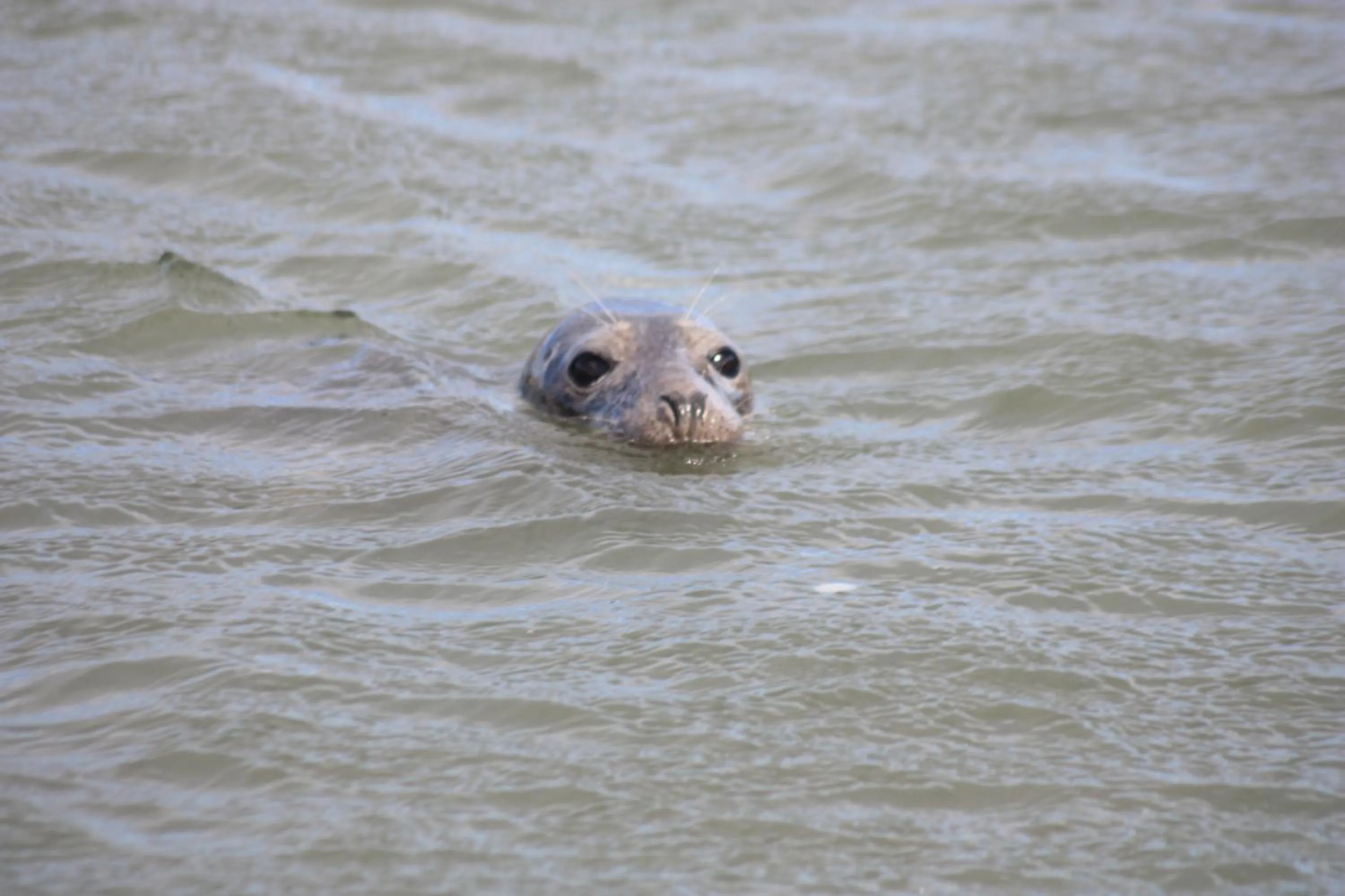 Natural landscape in Newburgh Inn