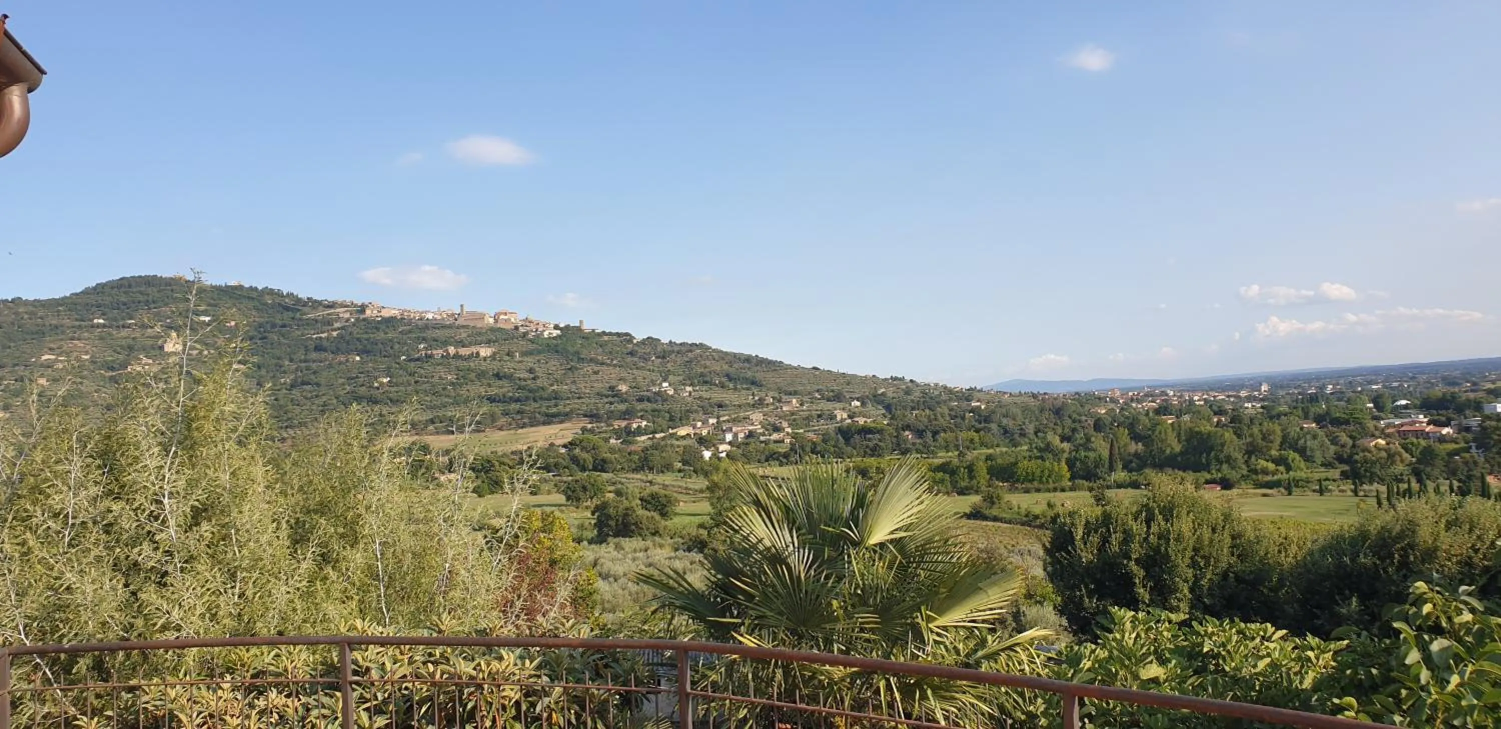 View (from property/room) in B&B Il Mandorlo