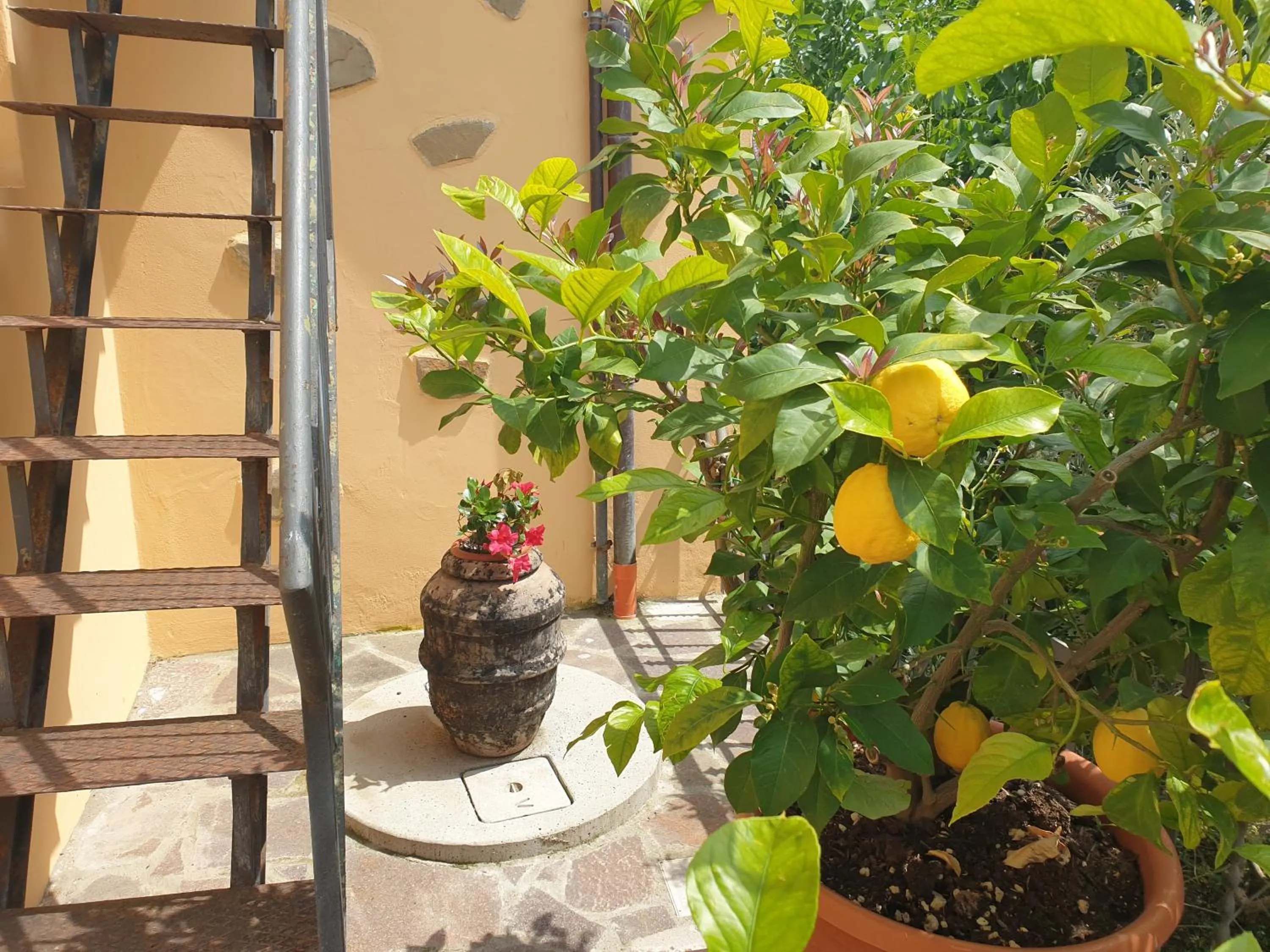 Garden in B&B Il Mandorlo