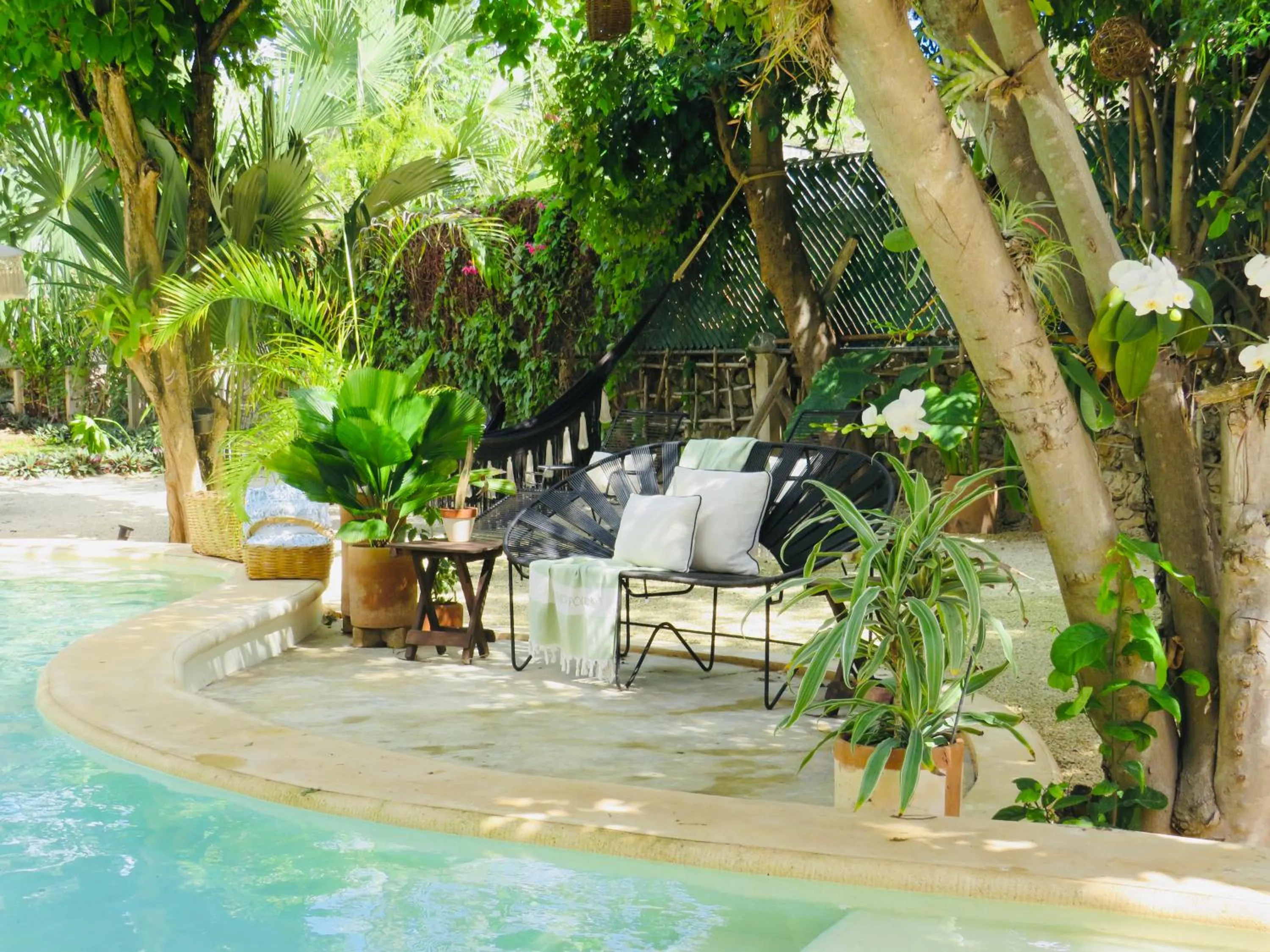 Garden in Casa Magu Merida