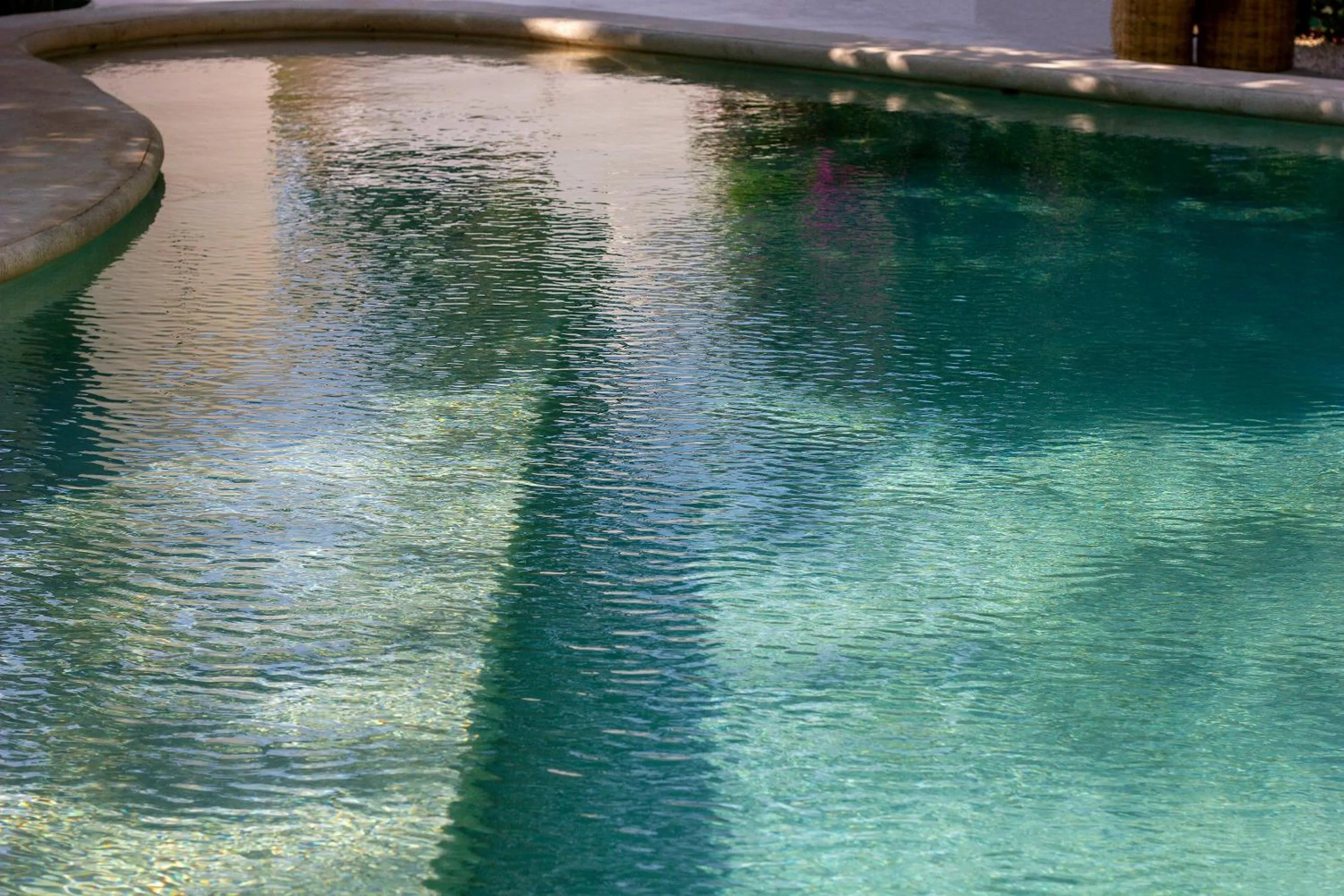 Pool view in Casa Magu Merida