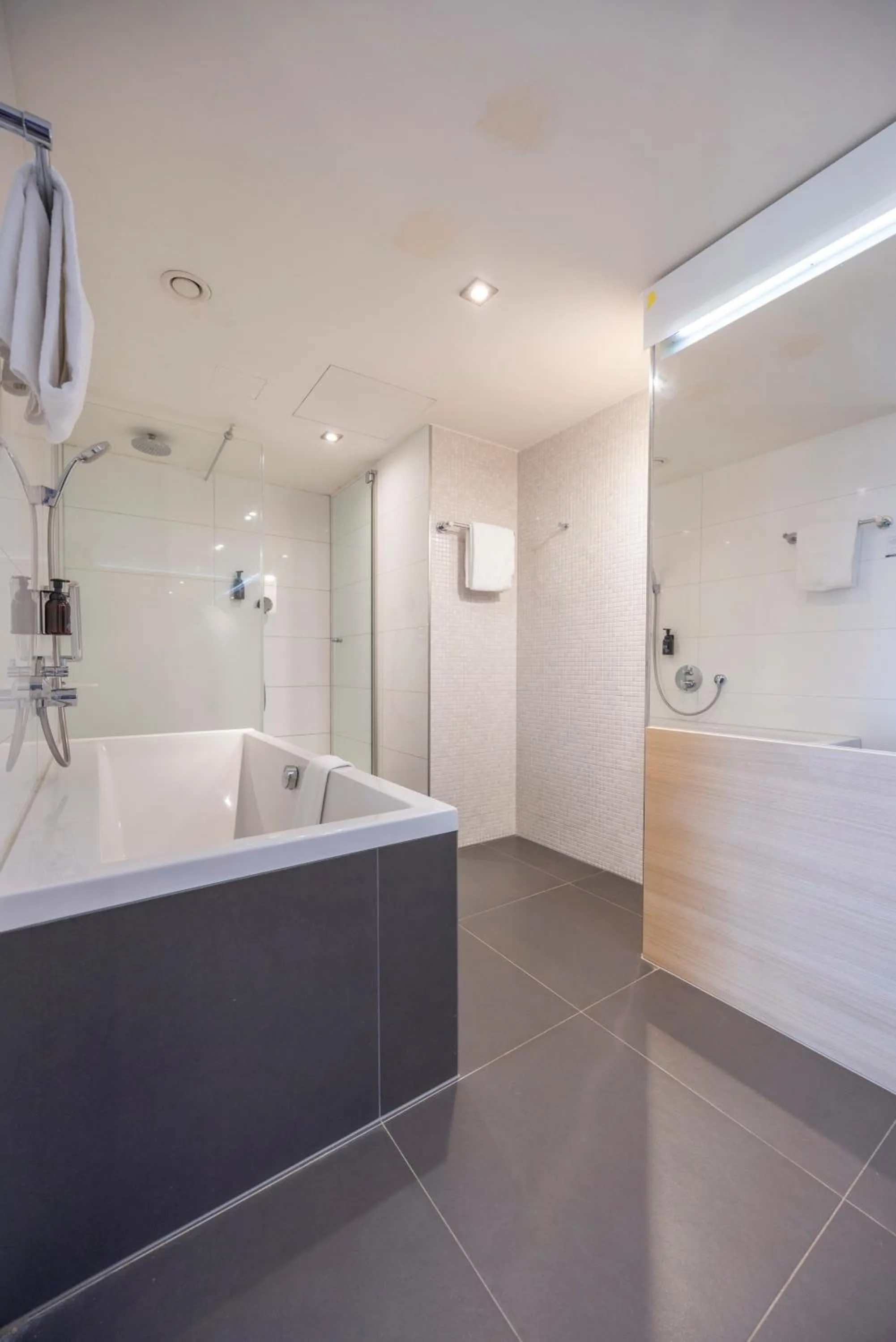 Shower in Fletcher Hotel-Restaurant Nieuwegein-Utrecht