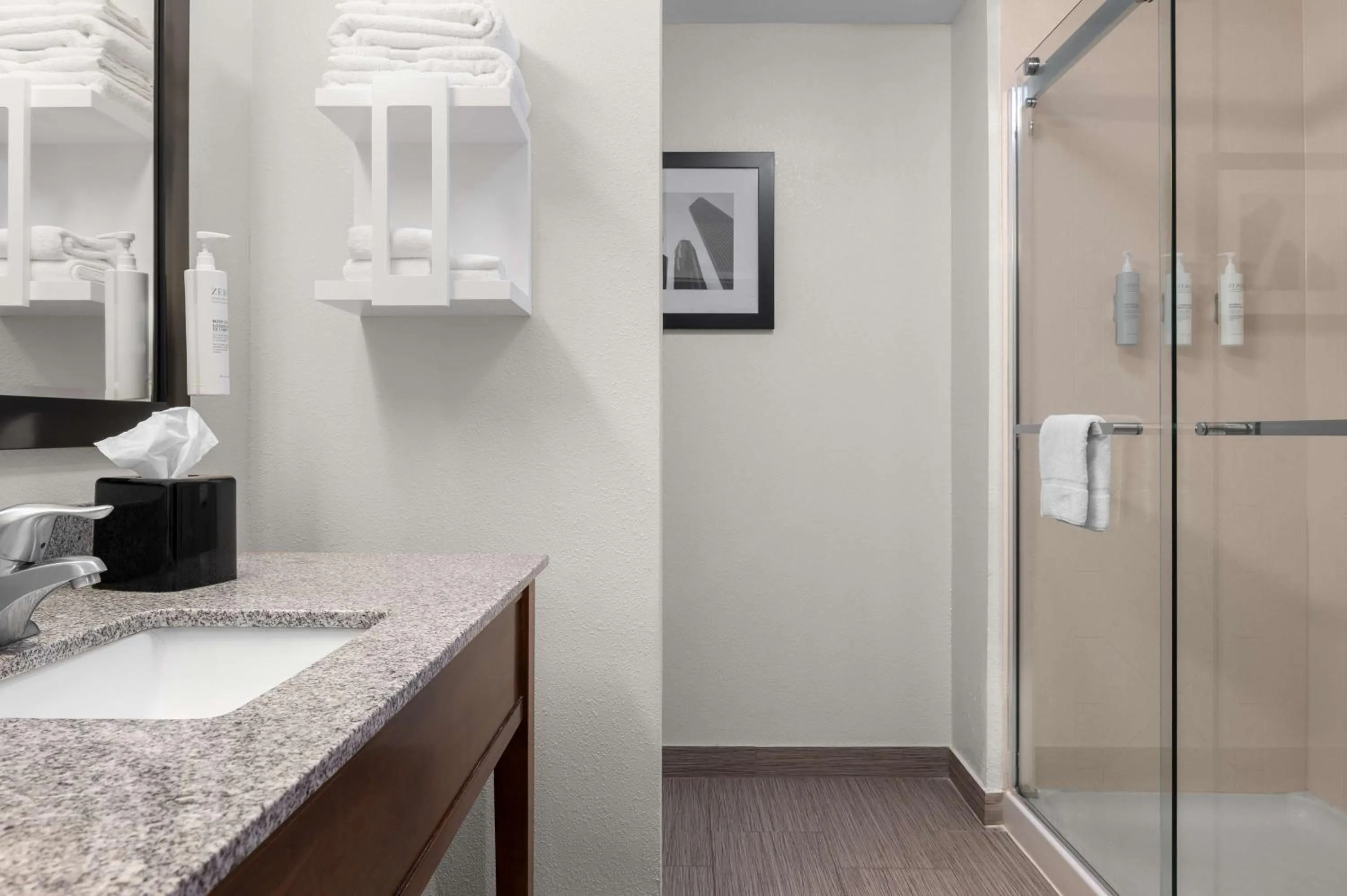 Bathroom in Hampton Inn Atlanta McDonough