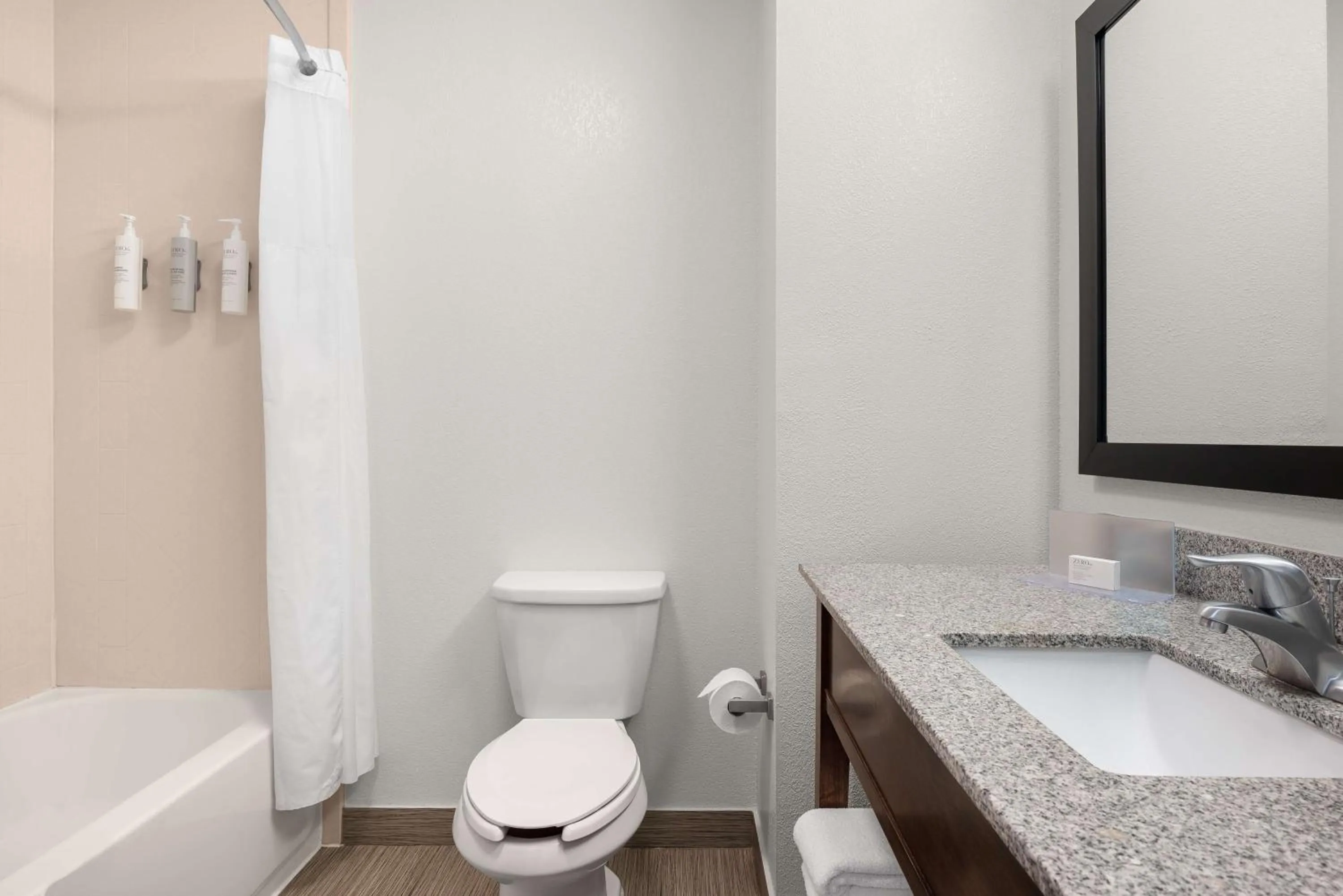 Bathroom in Hampton Inn Atlanta McDonough