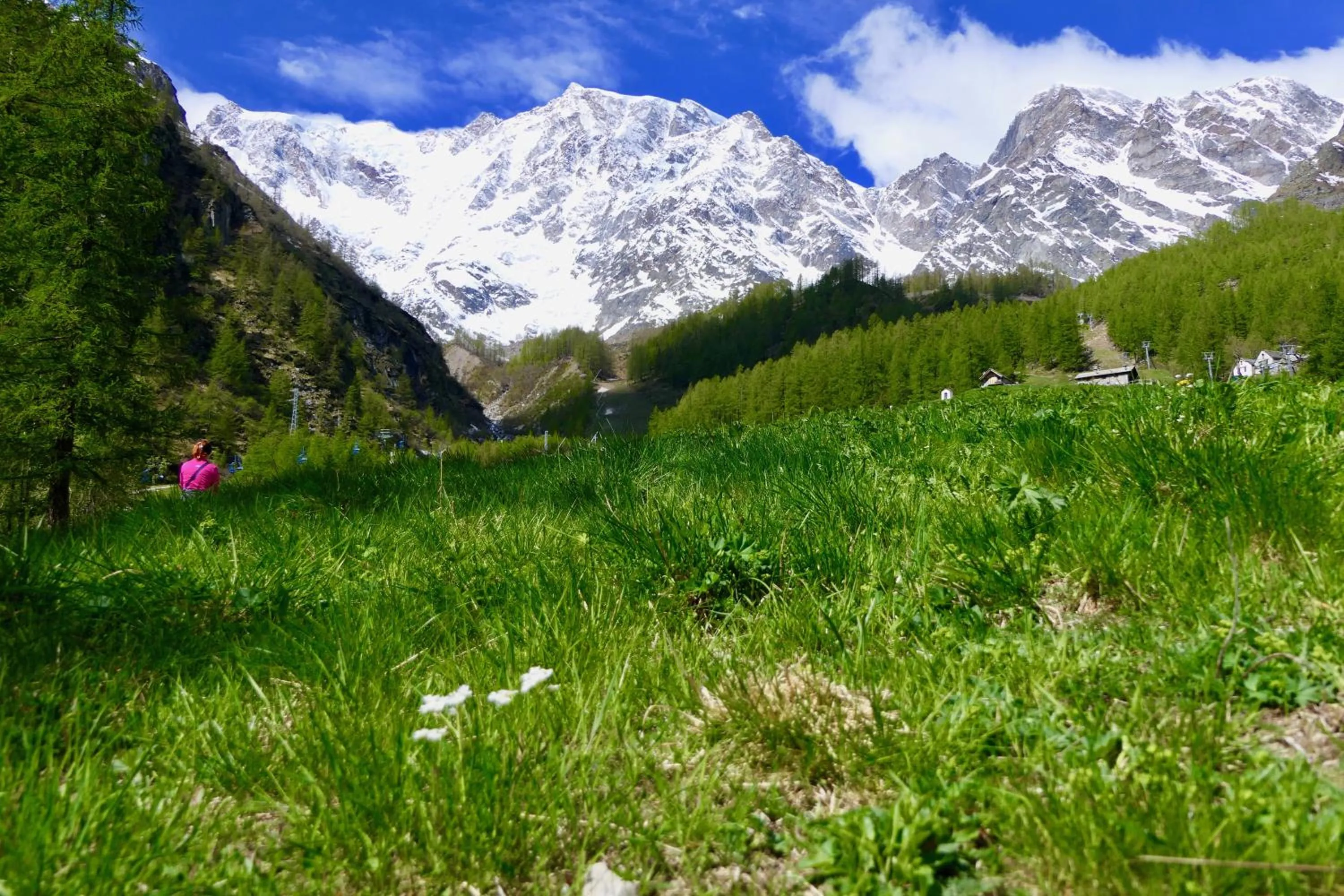 Natural landscape in Dream Hotel