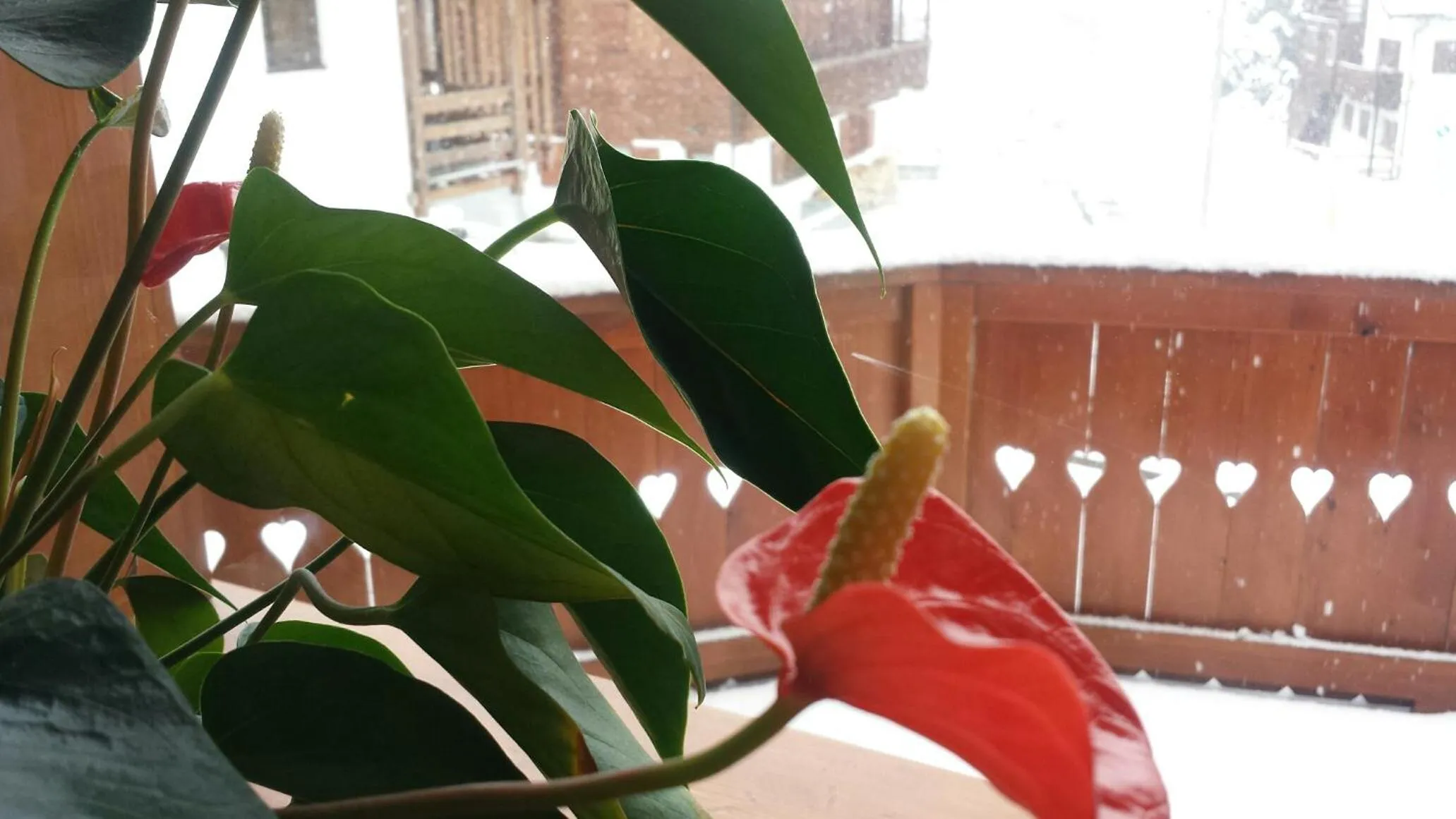 Property building in Dream Hotel