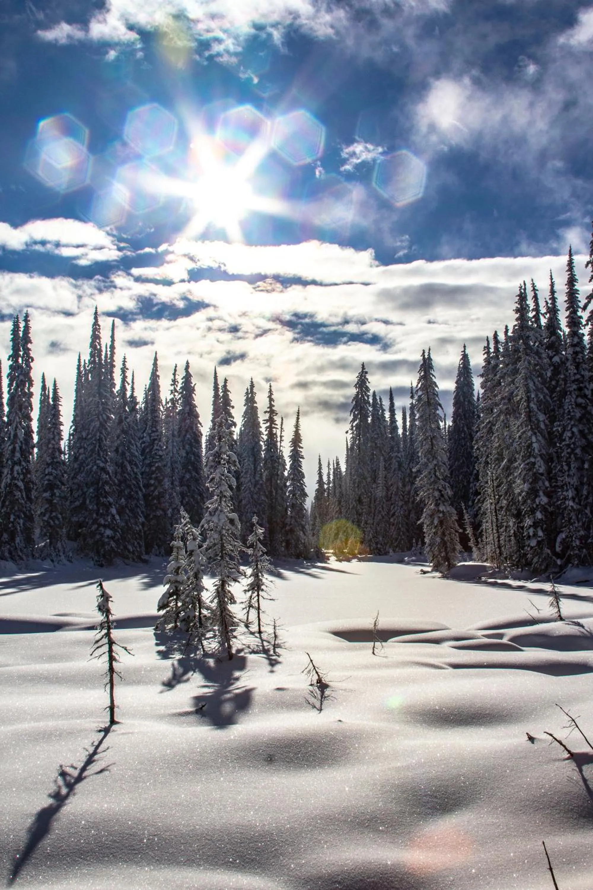 Activities in Heaven's Haven