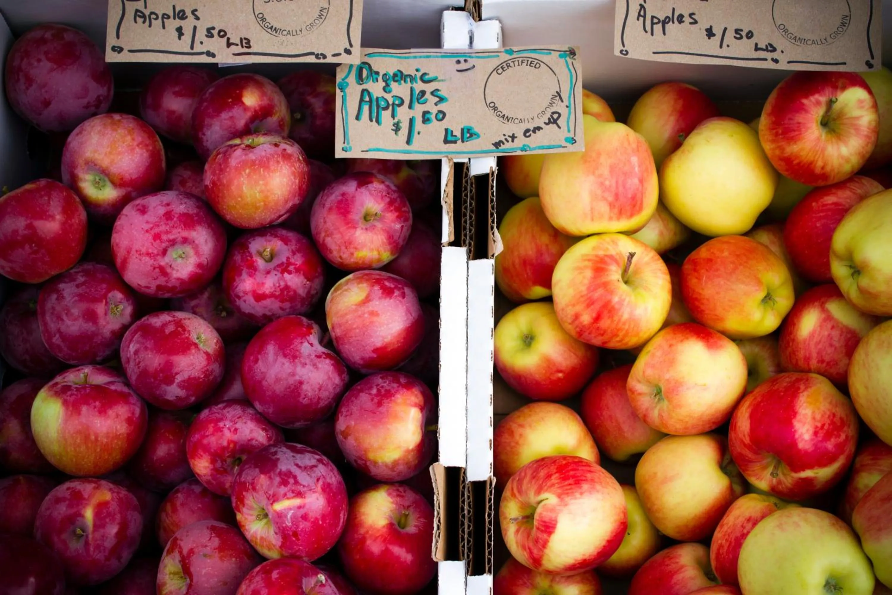 Activities in Heaven's Haven