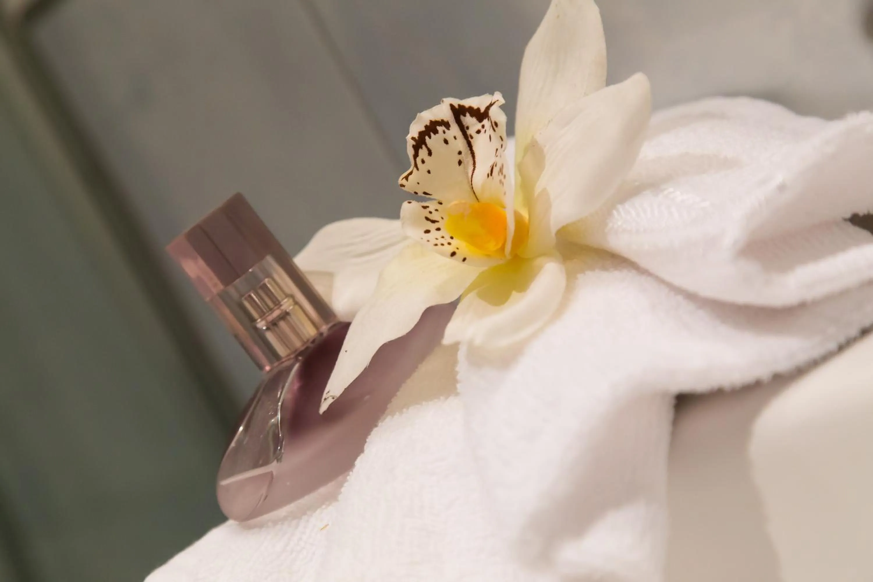 towels in Hotel Garni Katnau