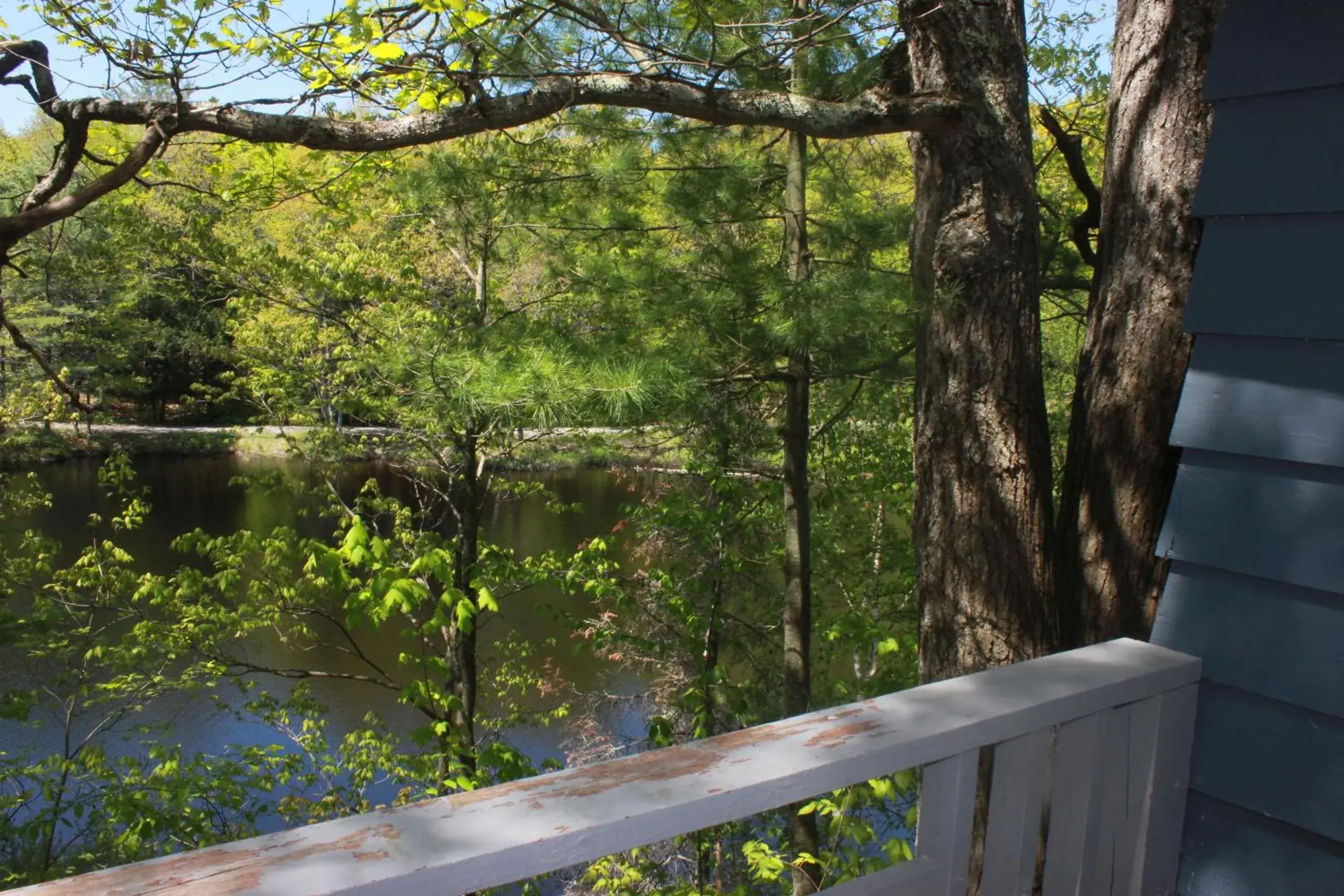 Balcony/Terrace in Trillium Resort & Spa