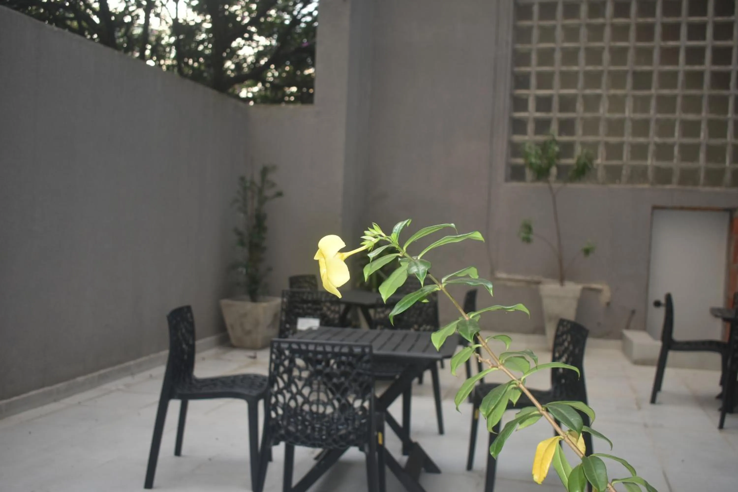 Garden in Unity Hotel - Paulista - SP