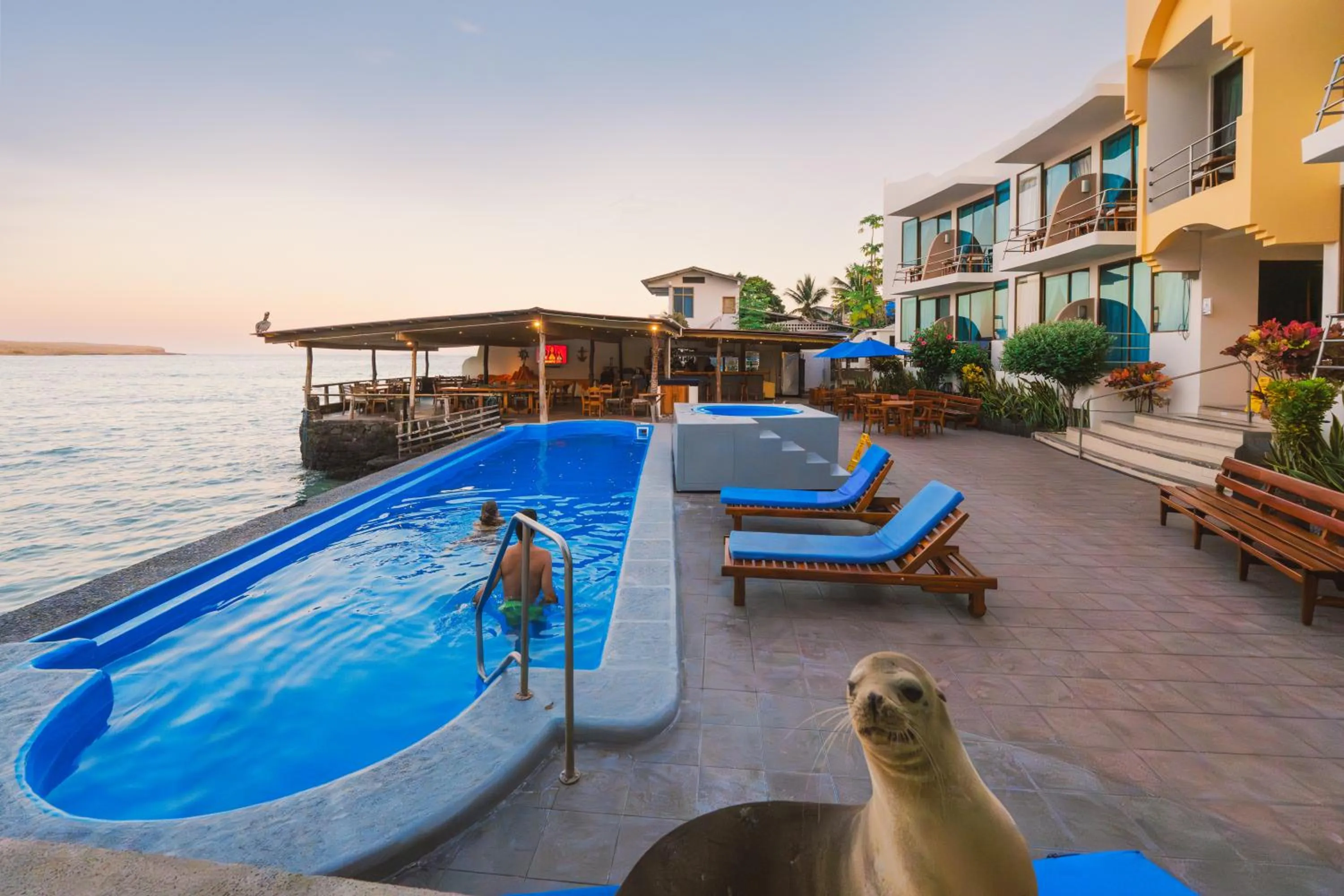 Swimming pool in Hotel Solymar