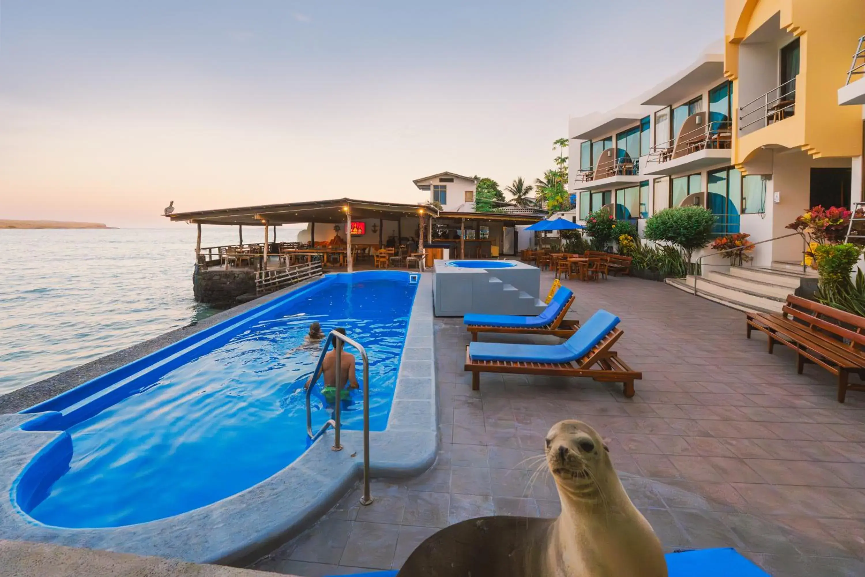 Swimming pool in Hotel Solymar Swimming pool in Hotel Solymar