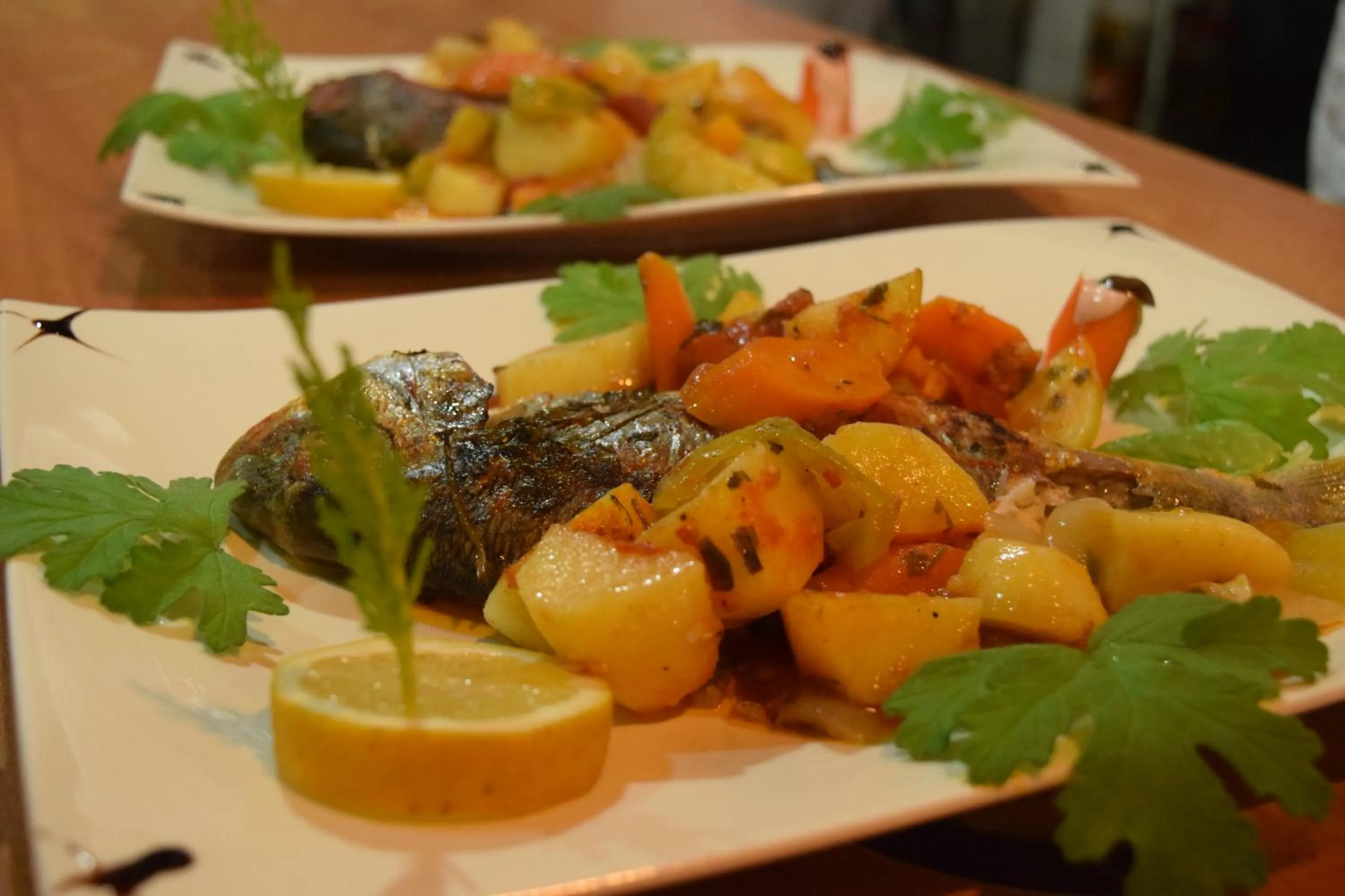 Food and drinks in Hotel Kolagji