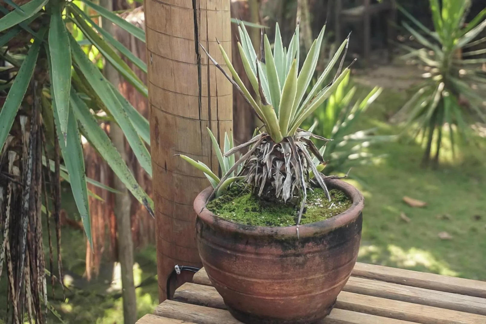 Decorative detail in Bangalôs da Aldeia Caraiva