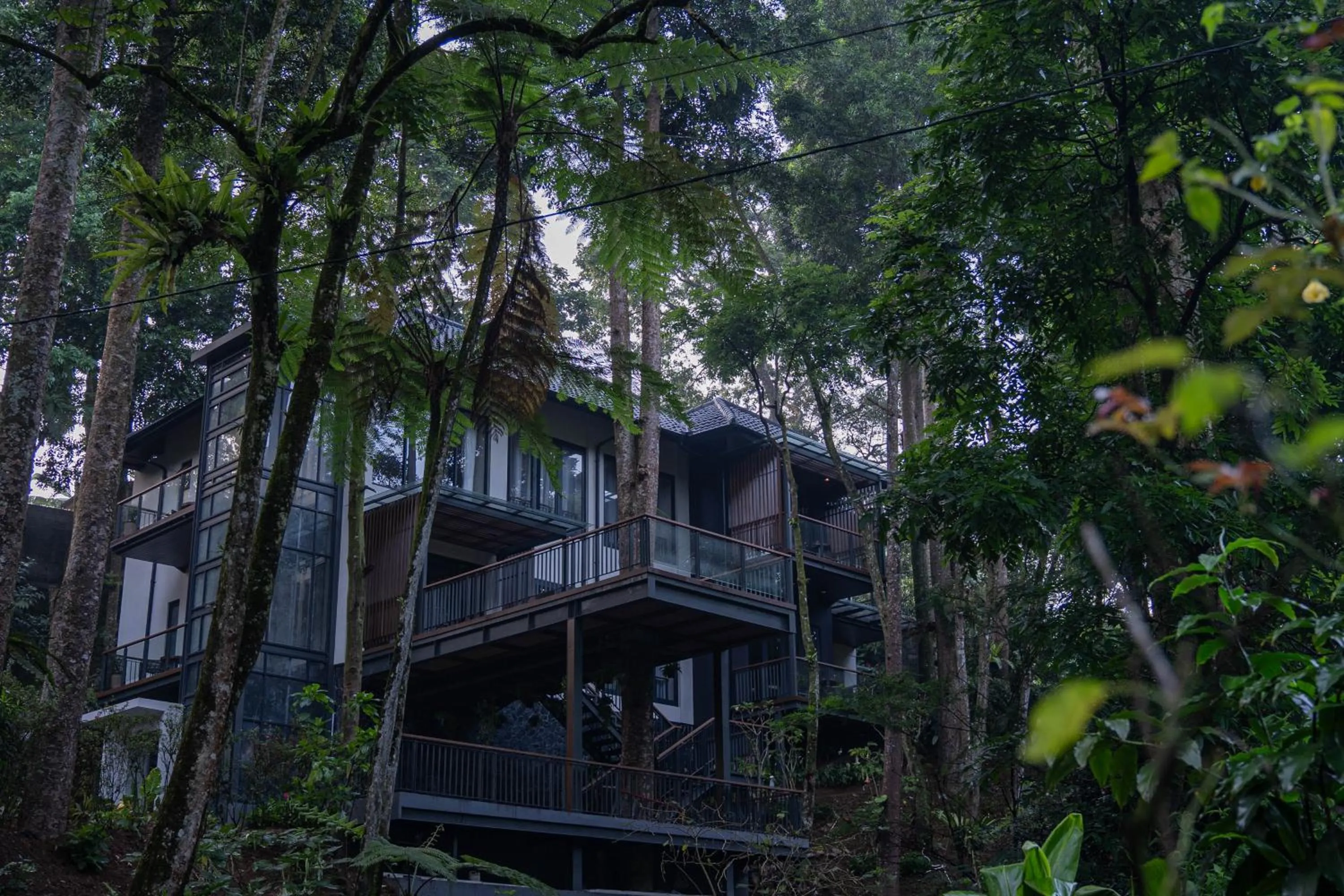 View (from property/room) in Plataran Puncak Residences