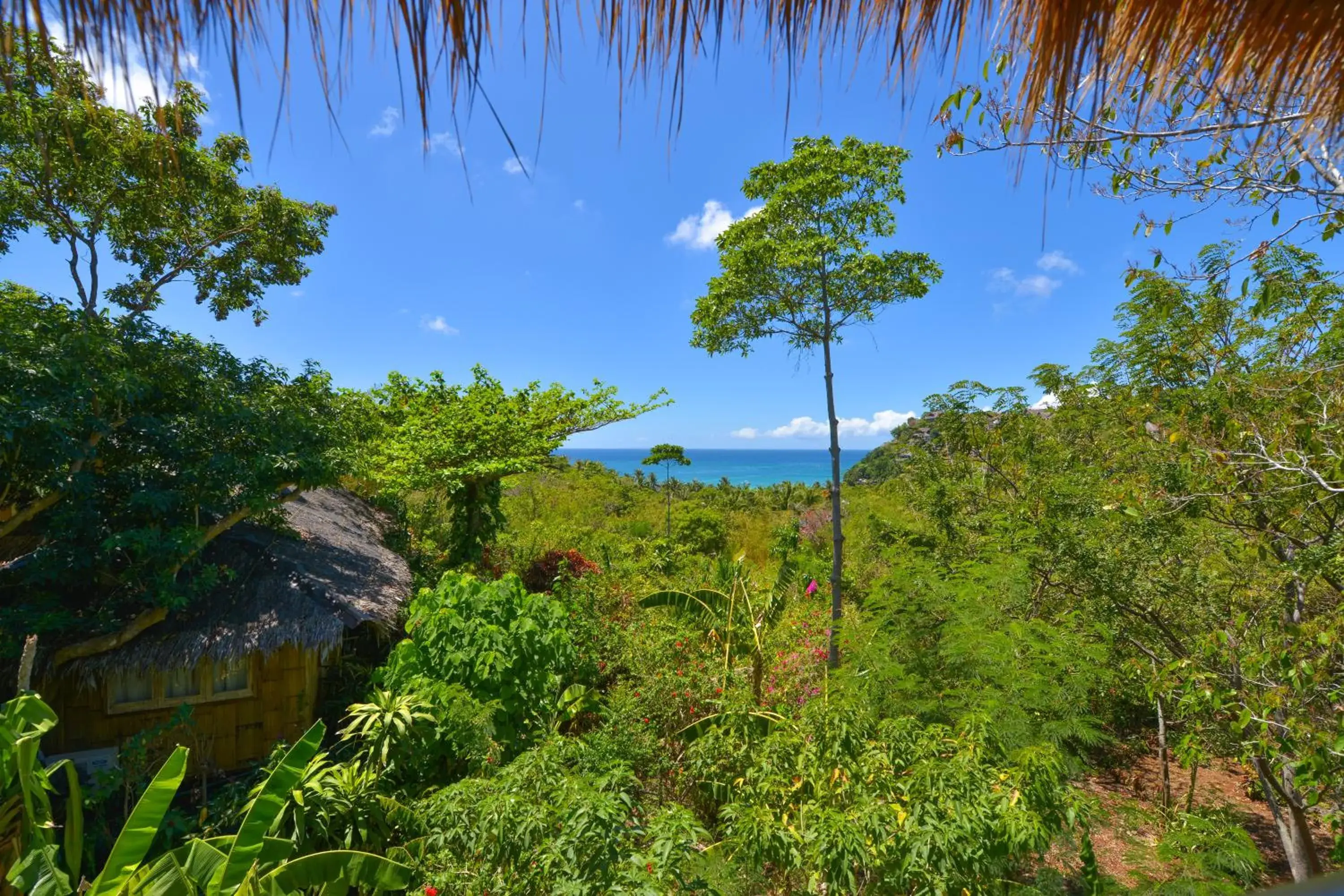 Garden view in Diniview Villa Resort Garden view in Diniview Villa Resort