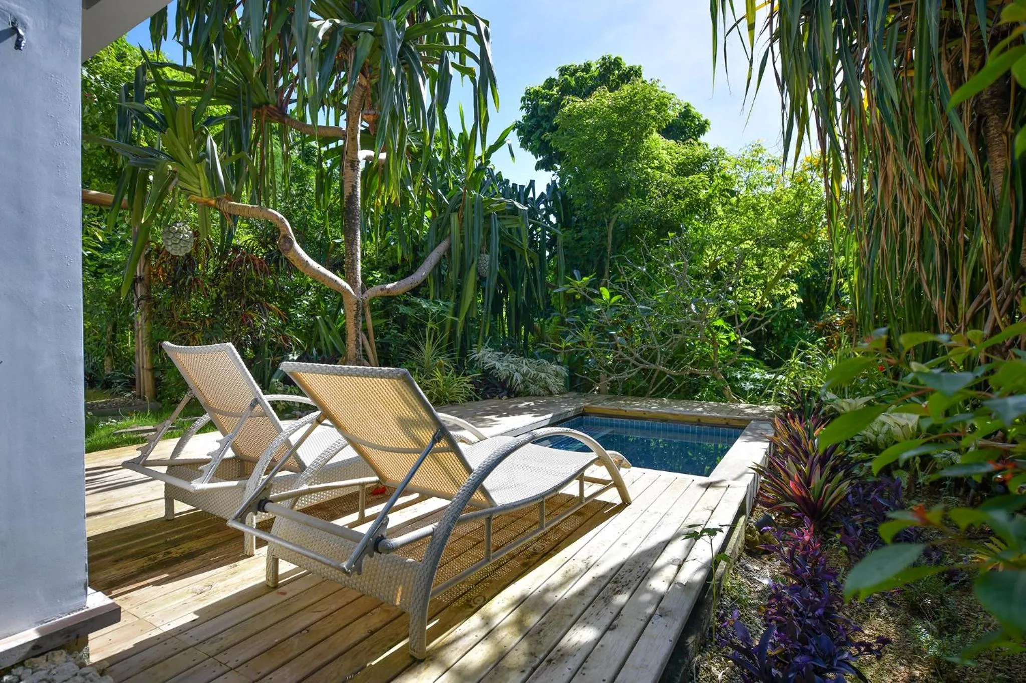 Natural landscape in Diniview Villa Resort