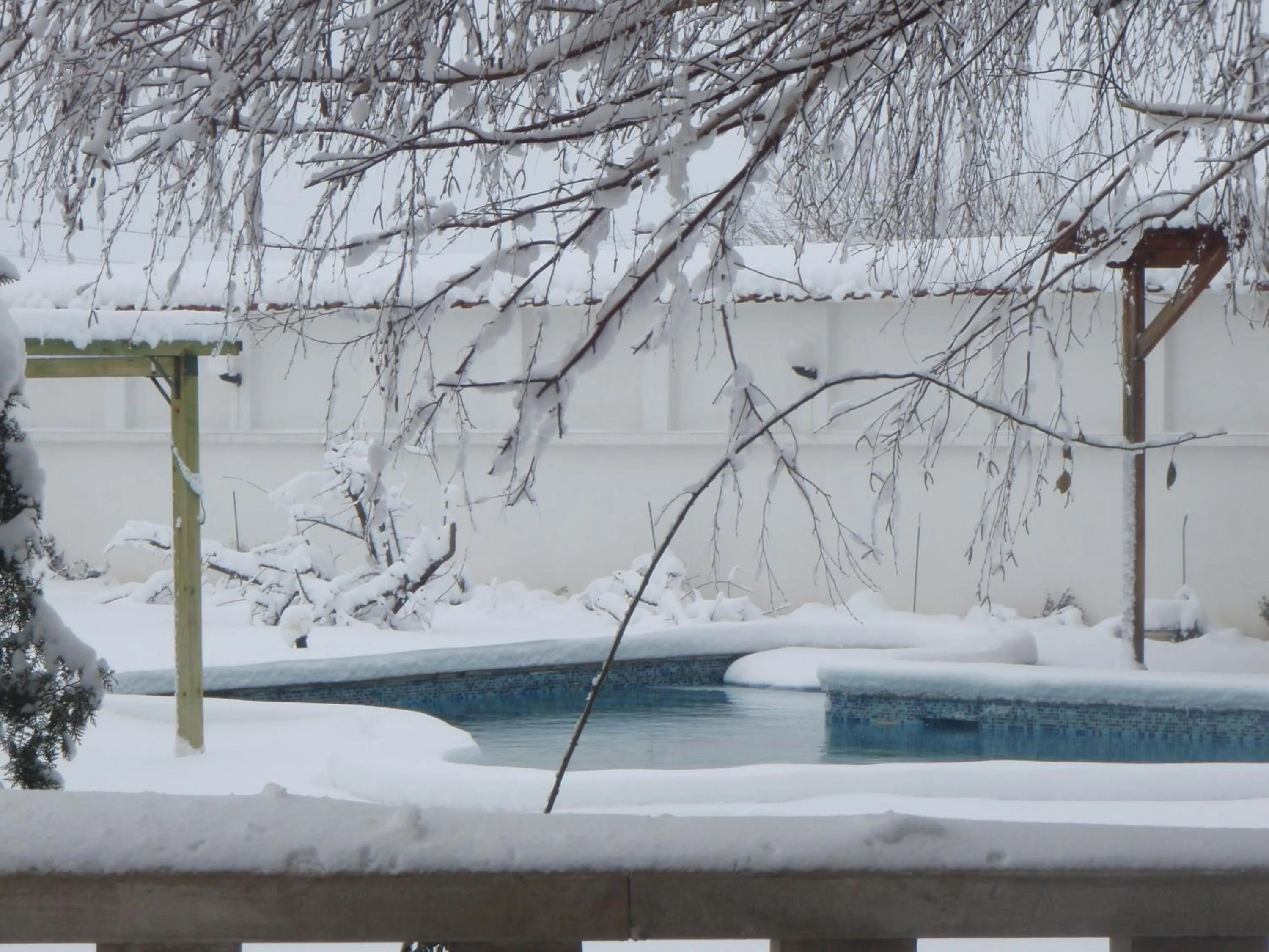 Winter in Galeria In The Garden