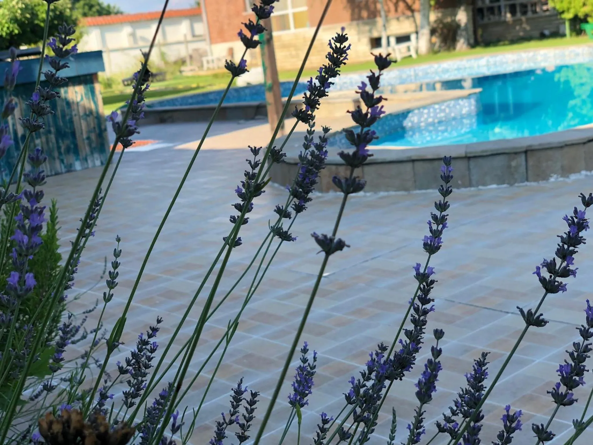 Other in Galeria In The Garden