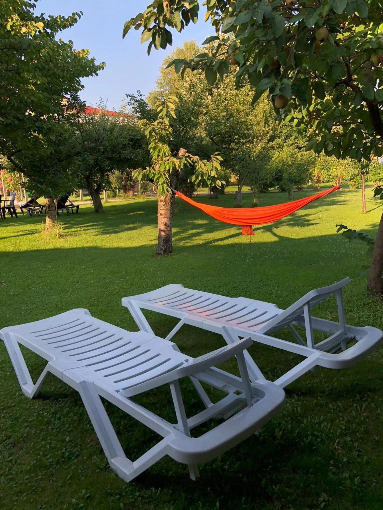 Garden in Galeria In The Garden