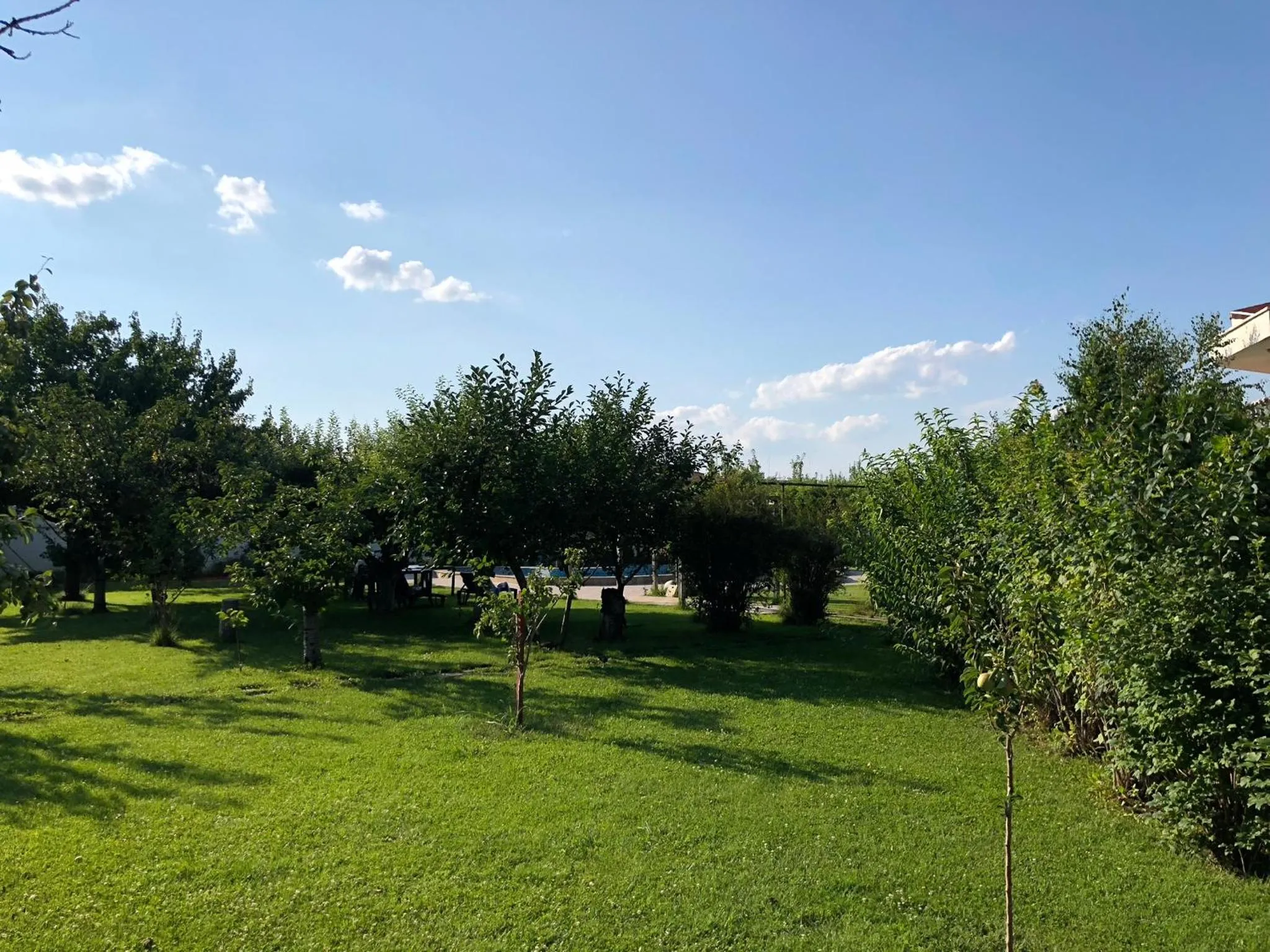 Summer in Galeria In The Garden