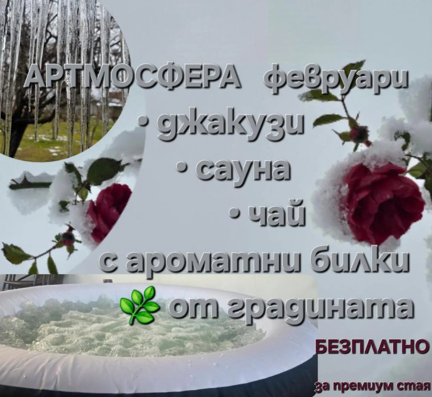 Galeria In The Garden