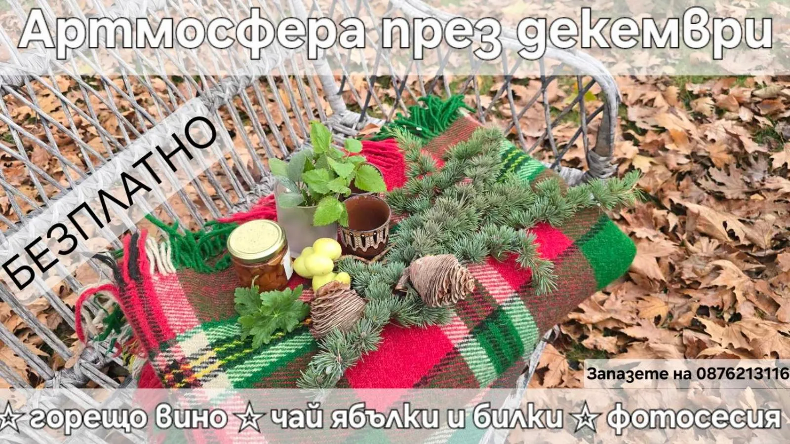 Galeria In The Garden