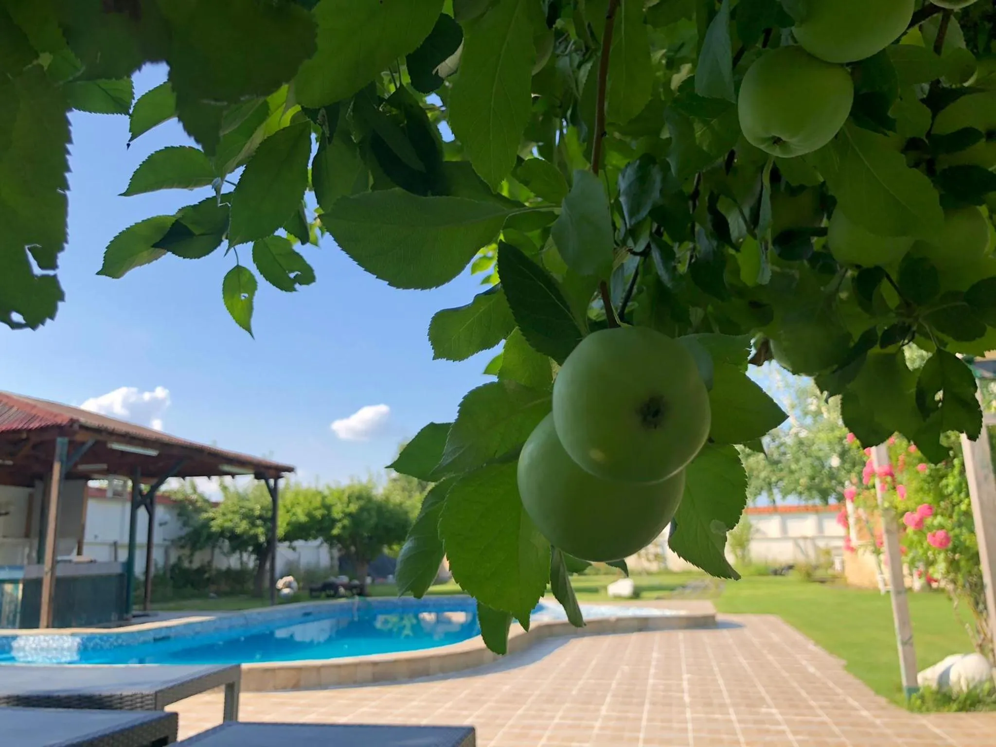 Pool view in Galeria In The Garden