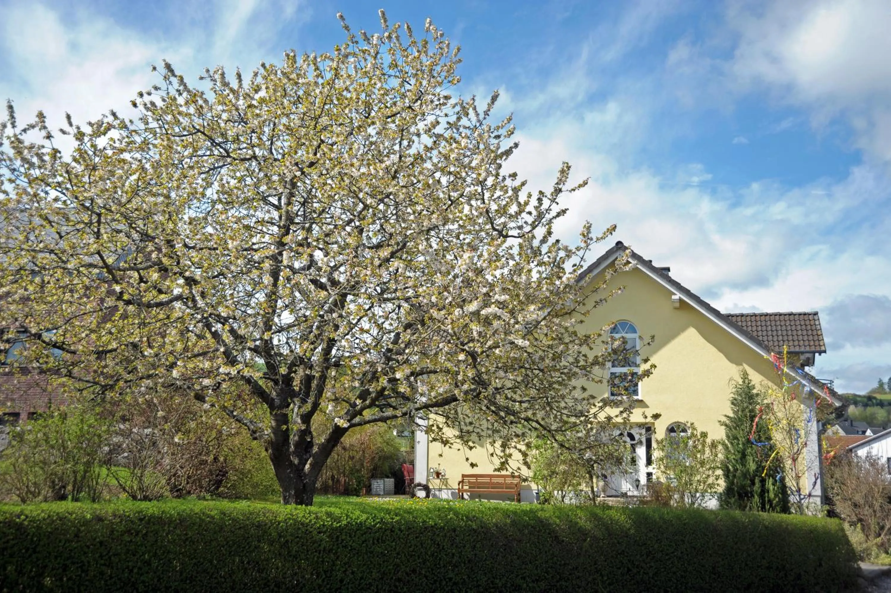 Bird's eye view in Ferienwohnung Landfein Schalkenmehren