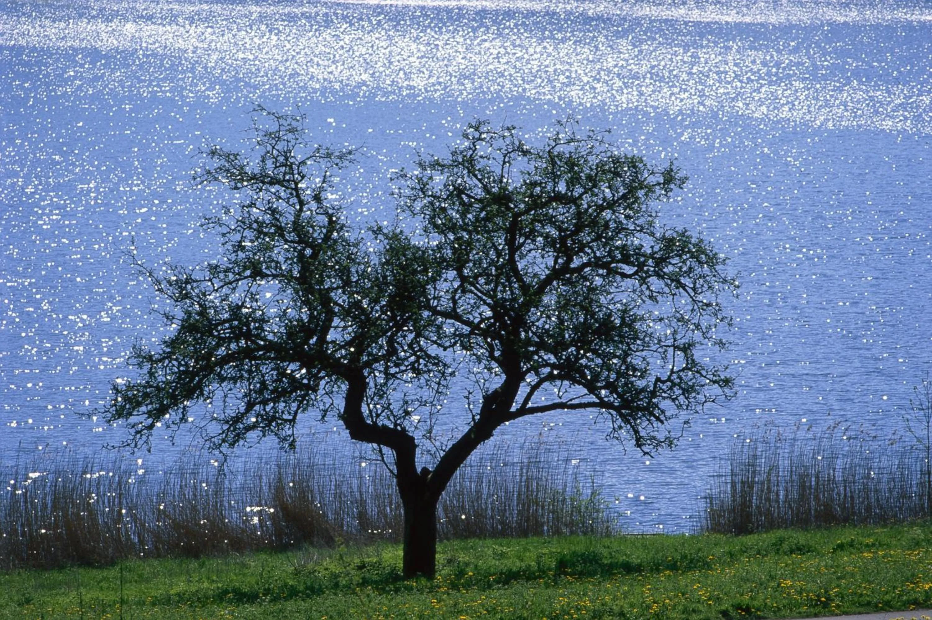 Bird's eye view in Ferienwohnung Landfein Schalkenmehren