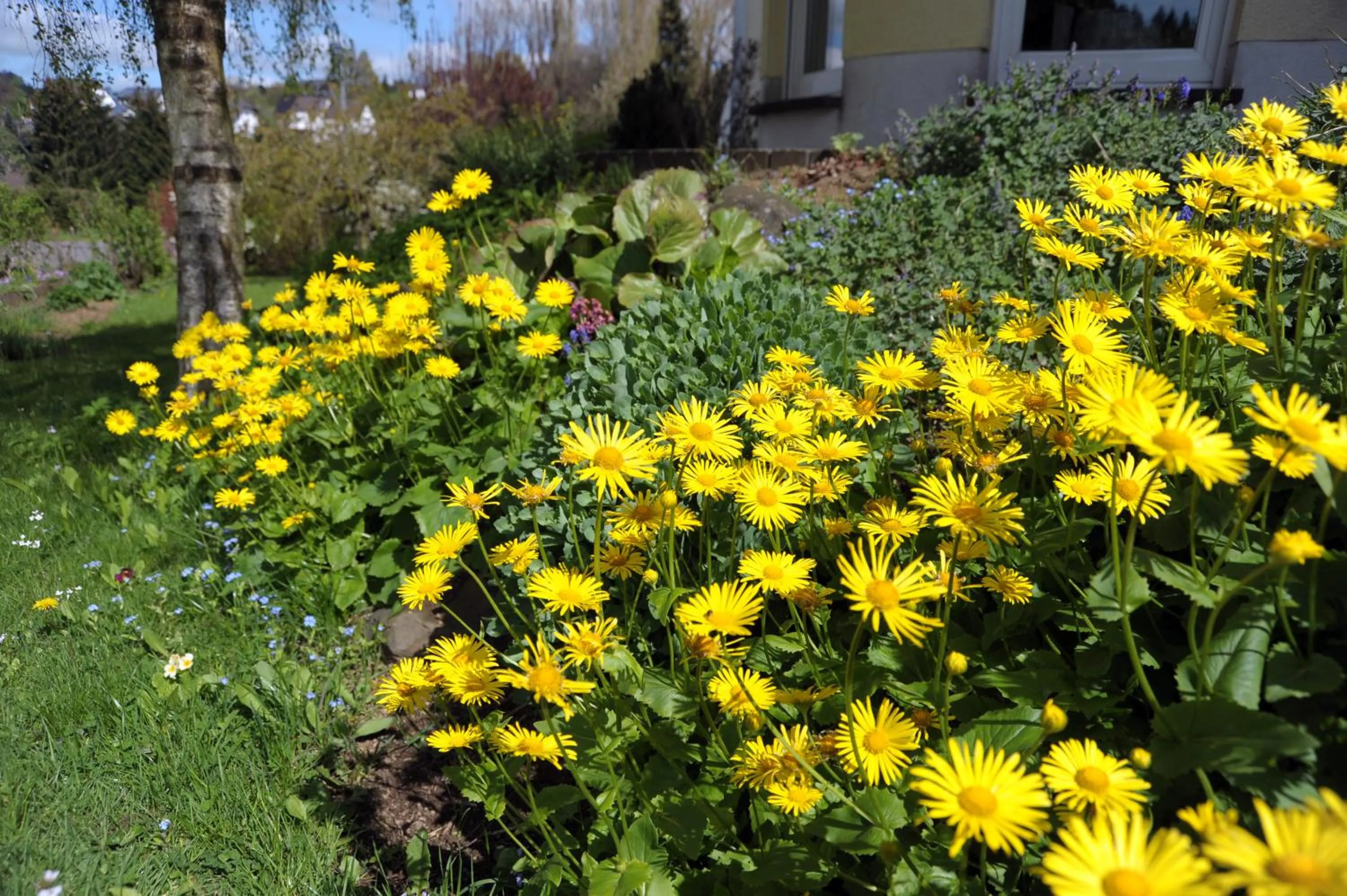 Facade/entrance in Ferienwohnung Landfein Schalkenmehren