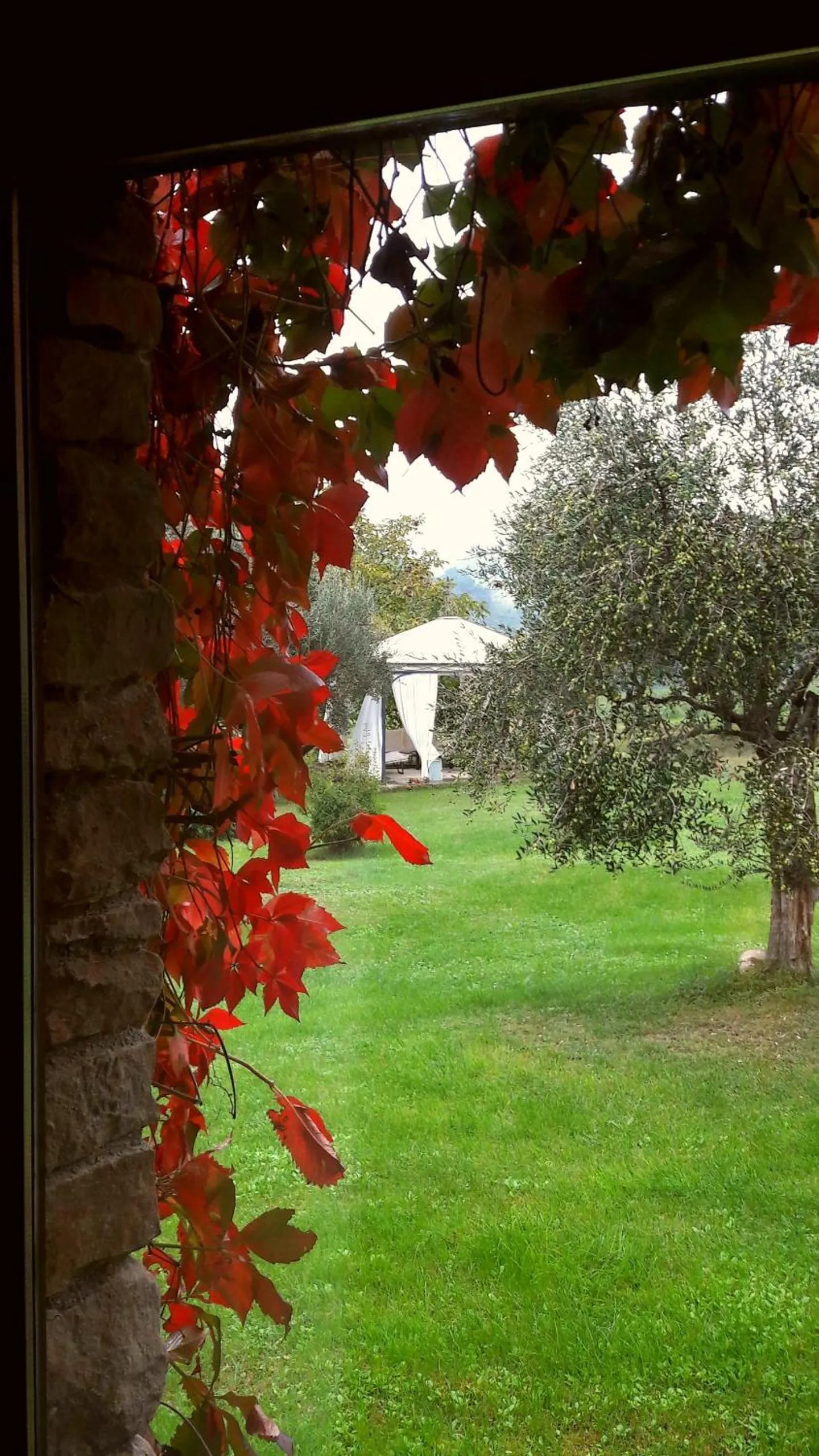 Garden view in Le Bumbarelle