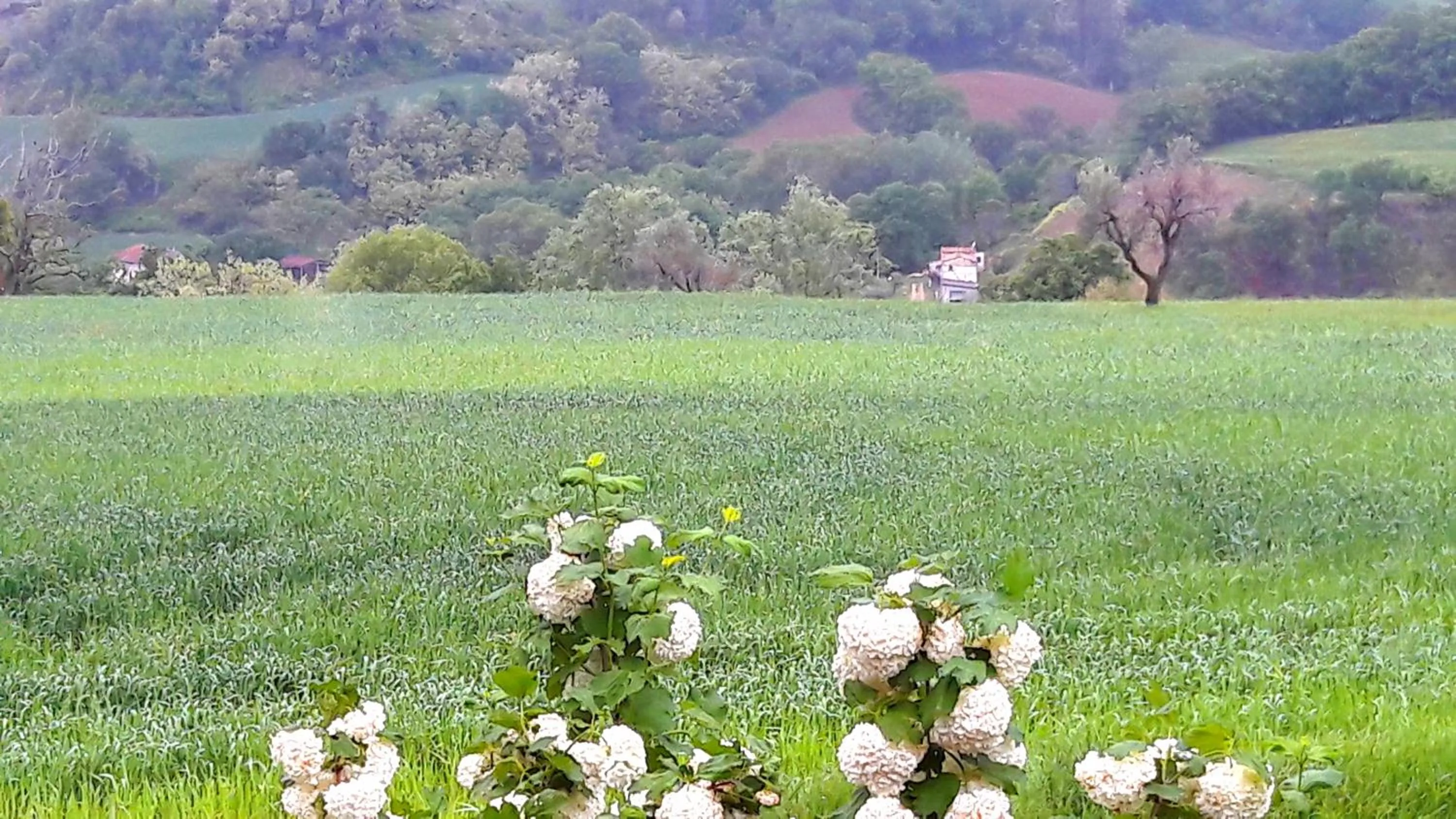 Natural landscape in Le Bumbarelle