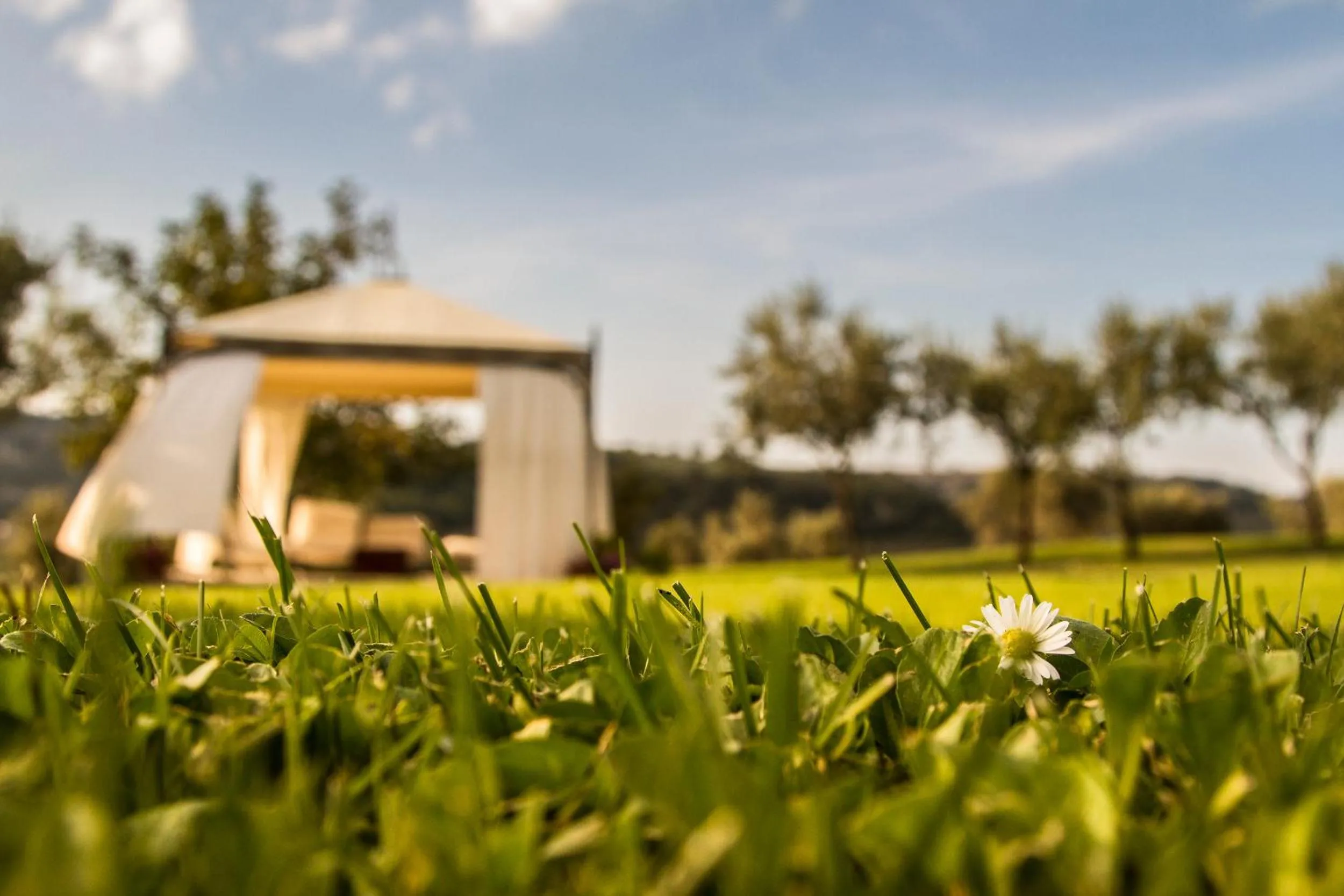 Garden in Le Bumbarelle
