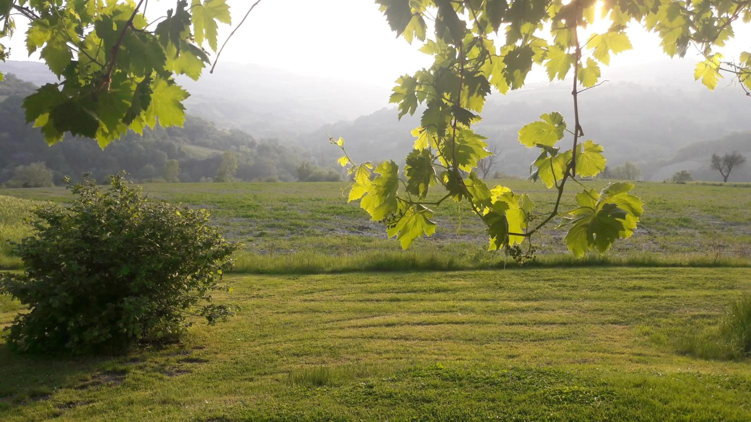 Garden in Le Bumbarelle