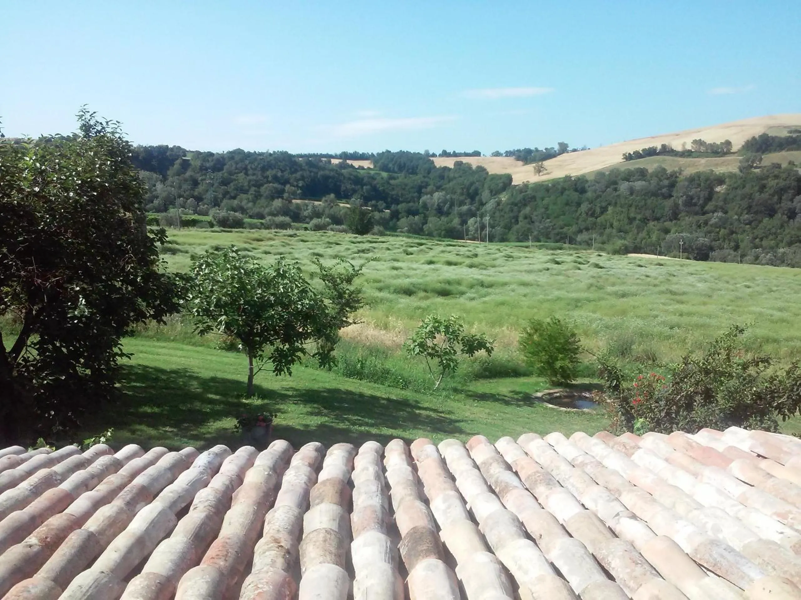 Garden in Le Bumbarelle