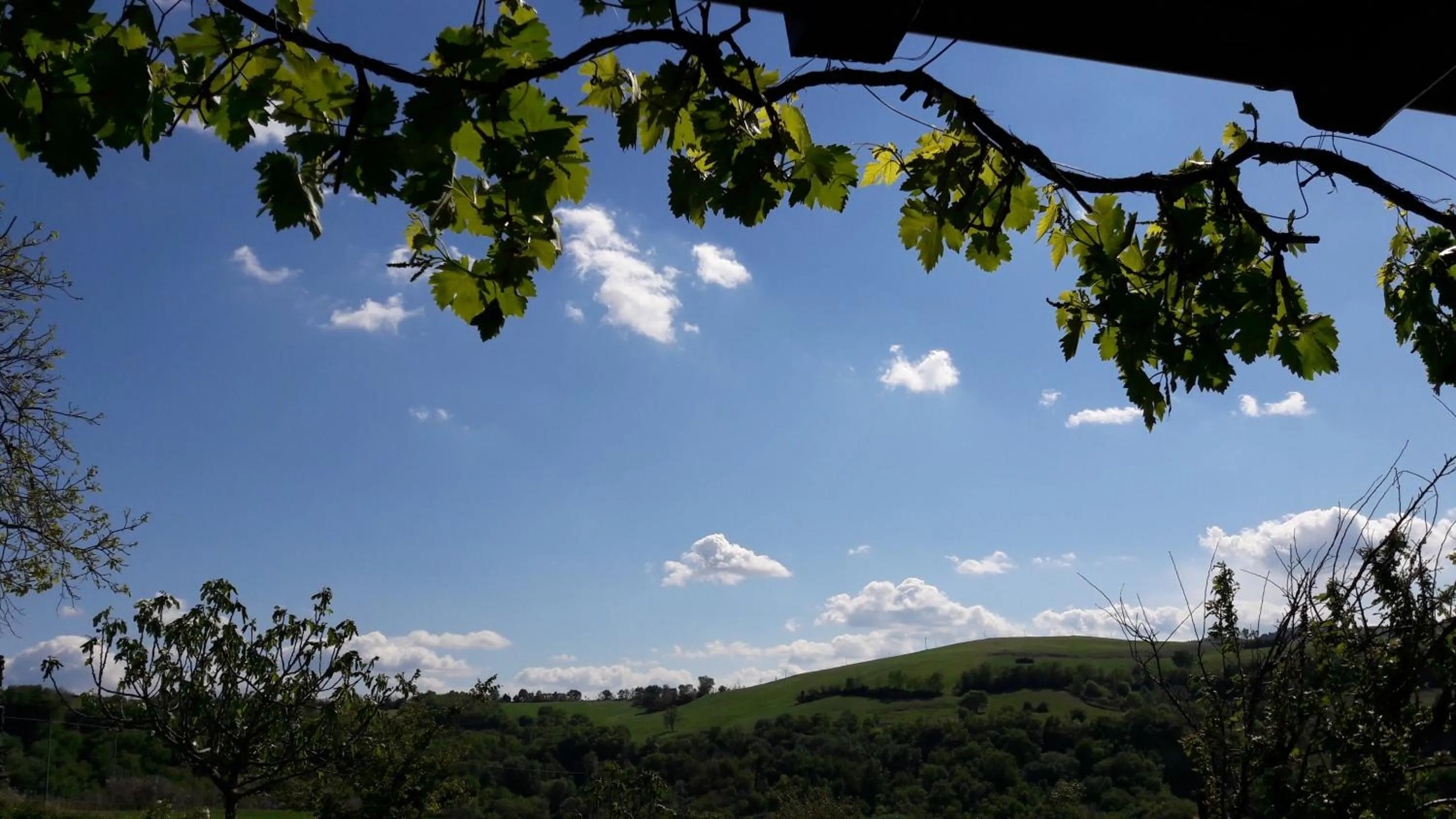 Garden in Le Bumbarelle