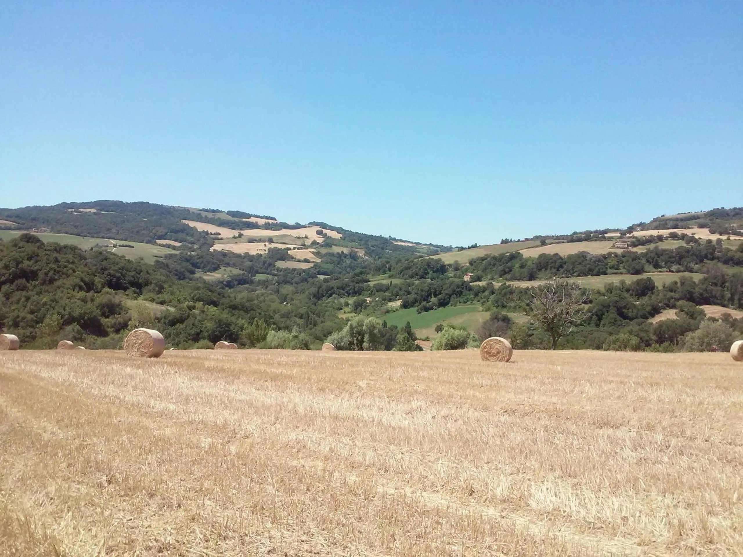 Garden in Le Bumbarelle