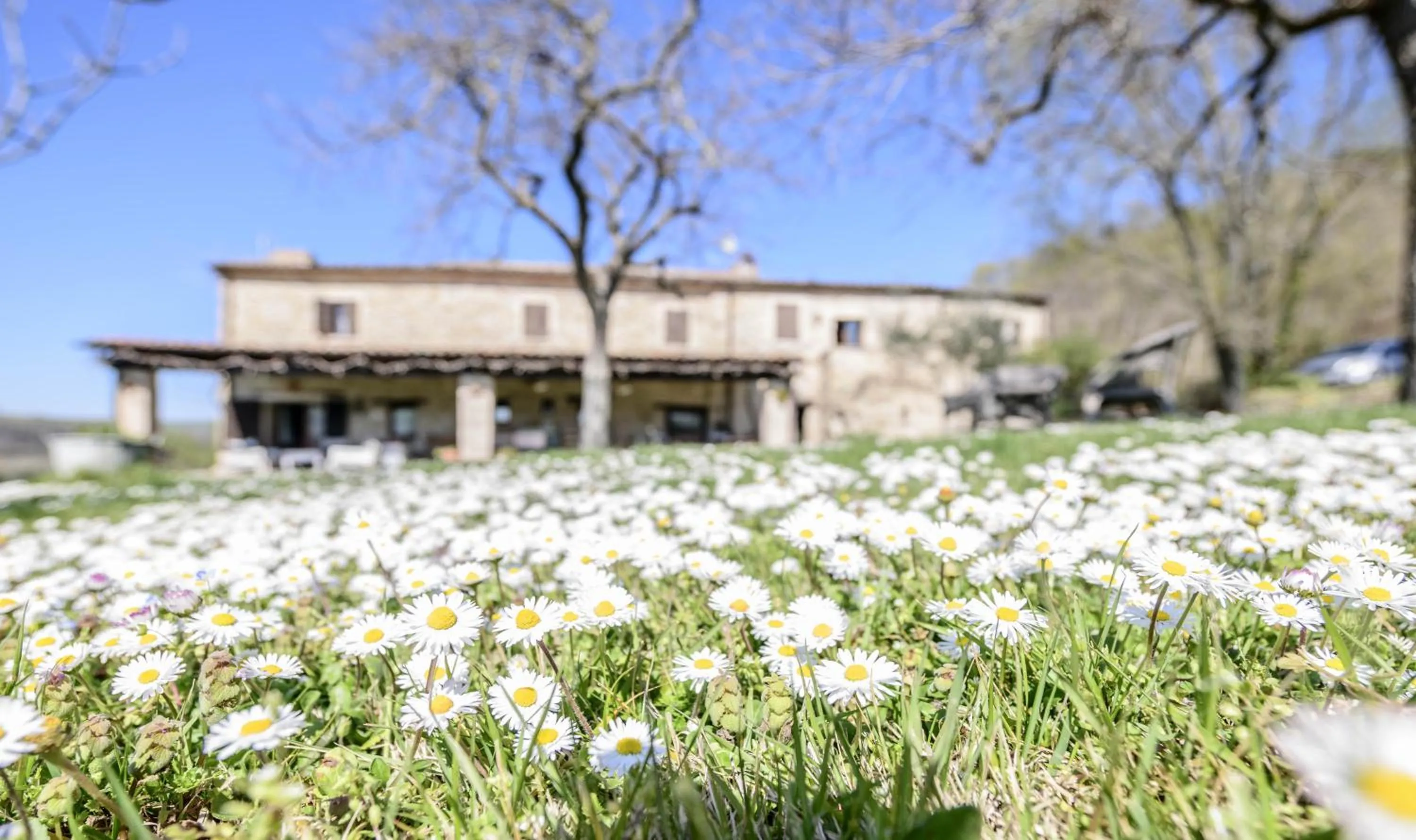 Garden in Le Bumbarelle
