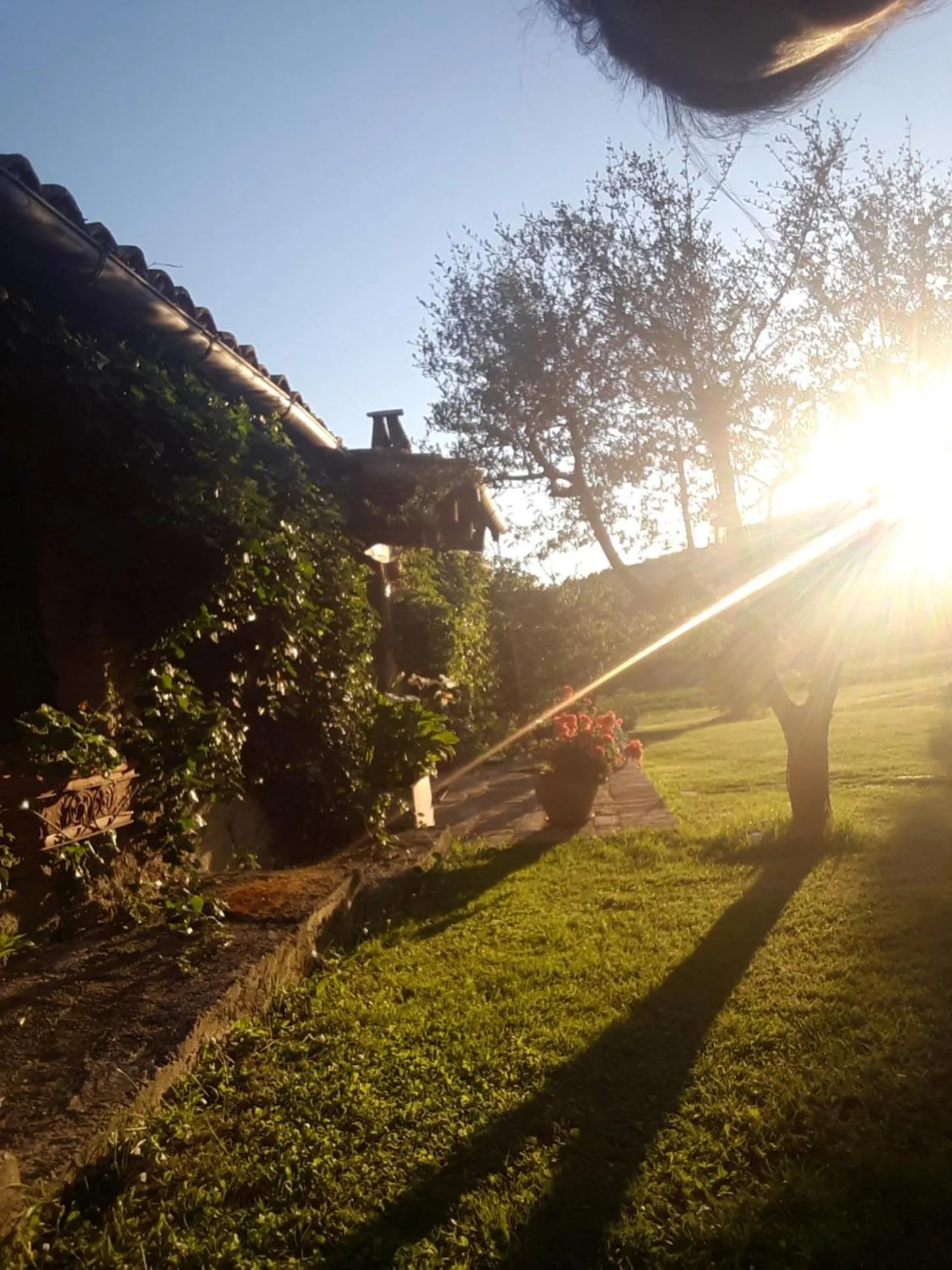 Garden in Le Bumbarelle