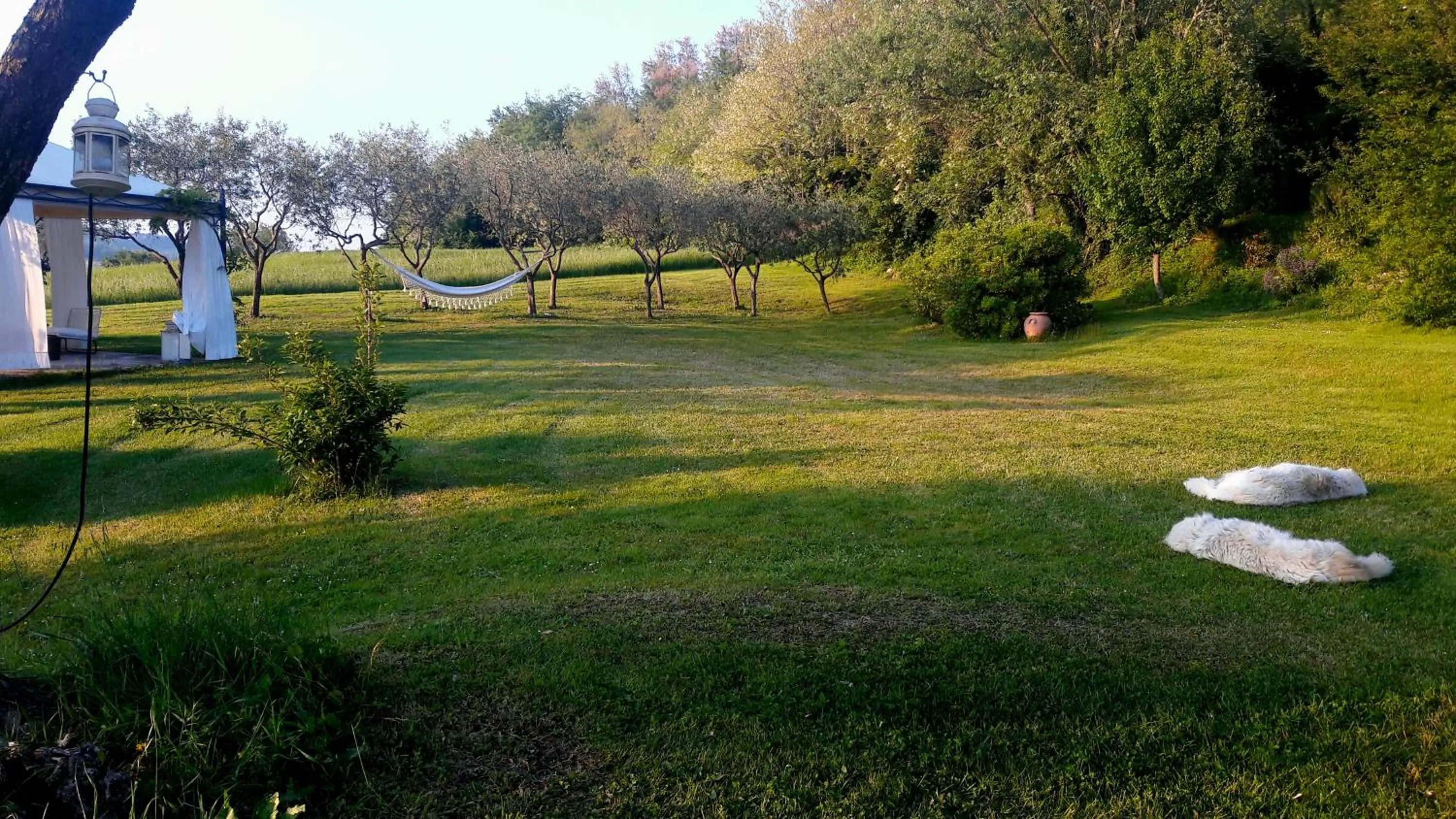 Garden in Le Bumbarelle