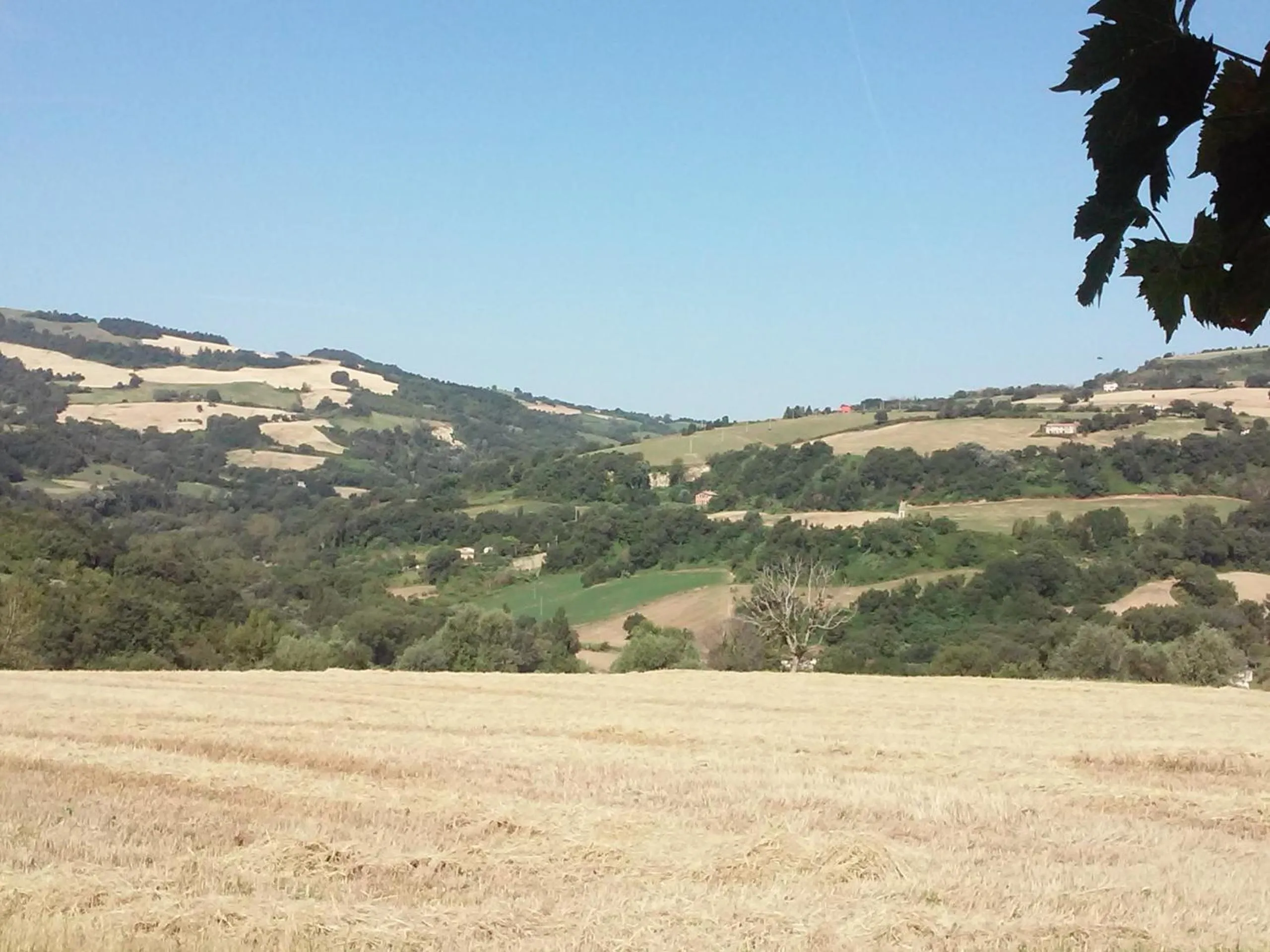 Garden in Le Bumbarelle