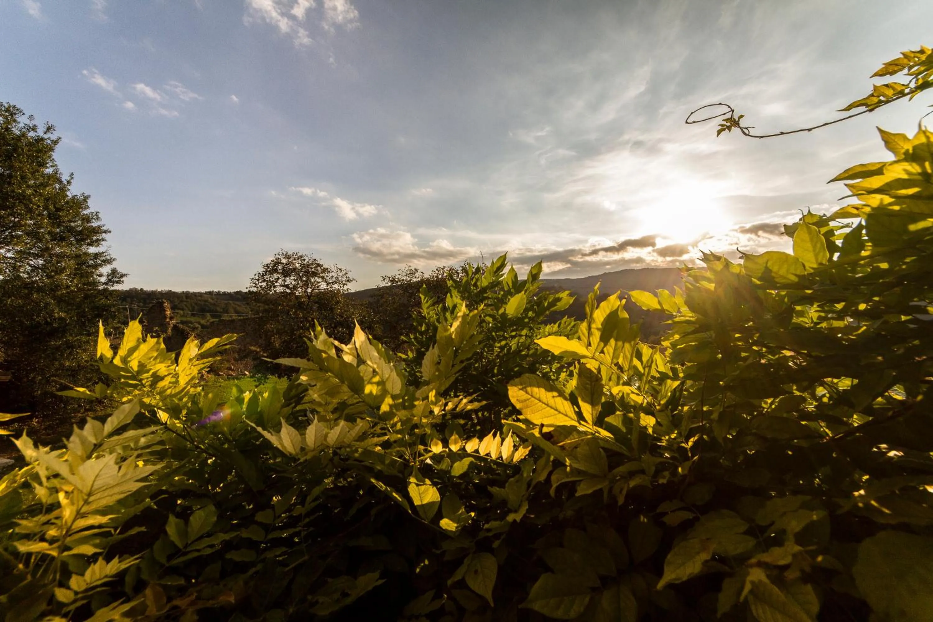 Garden in Le Bumbarelle