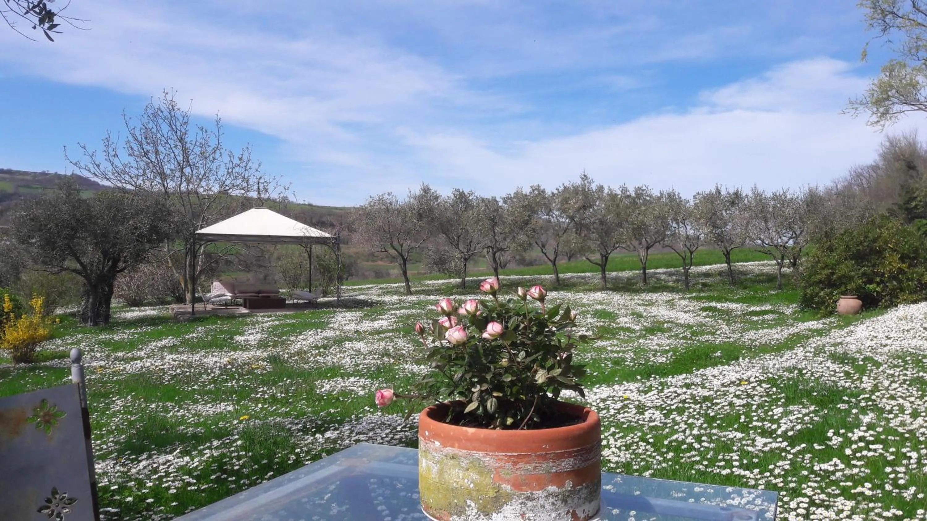 Garden in Le Bumbarelle