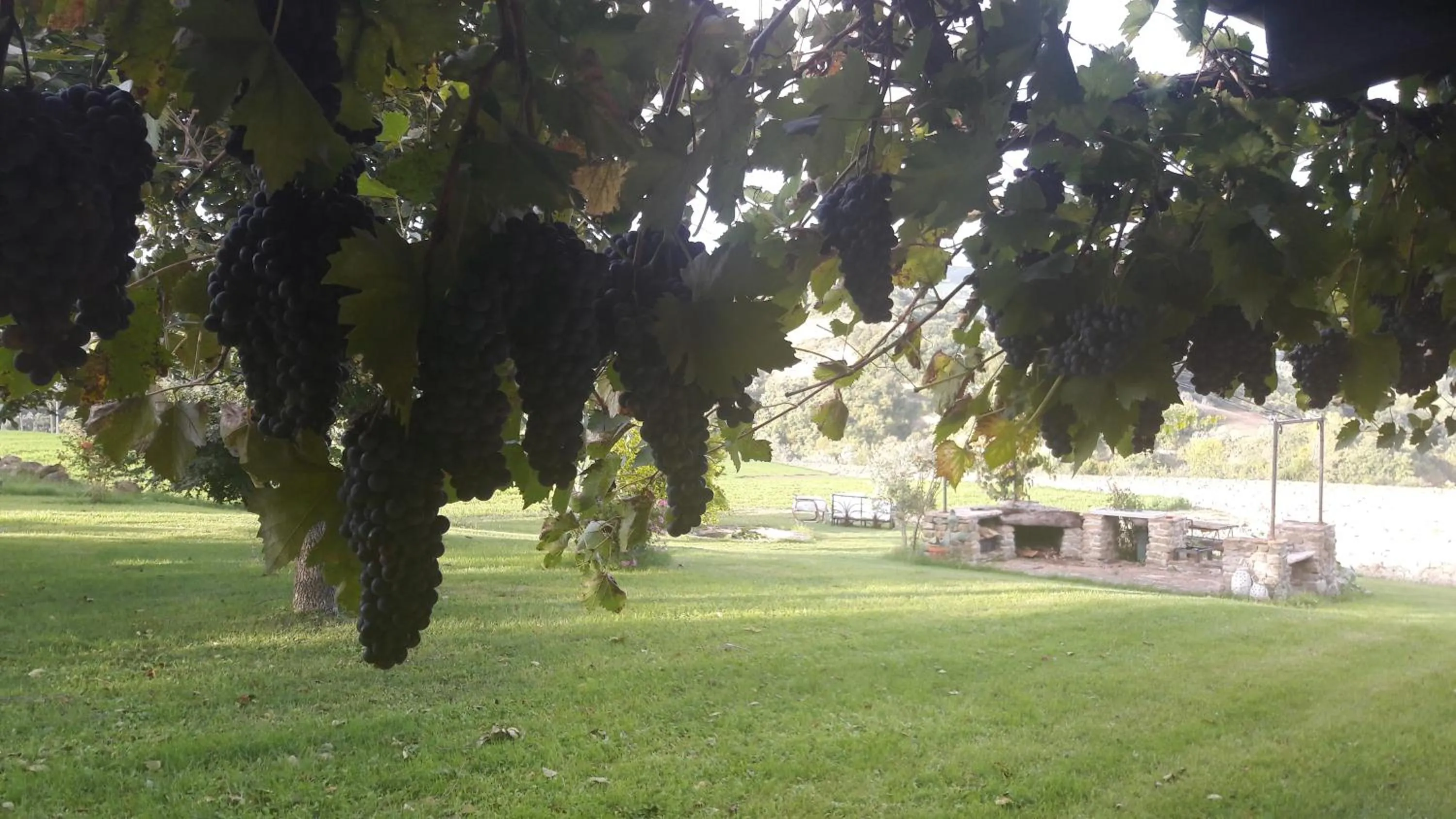 Garden in Le Bumbarelle