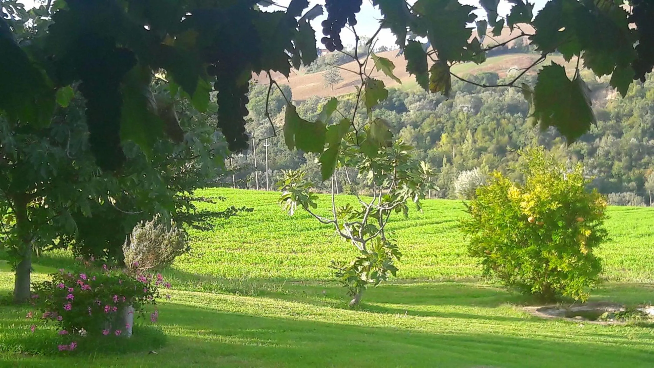 Garden in Le Bumbarelle