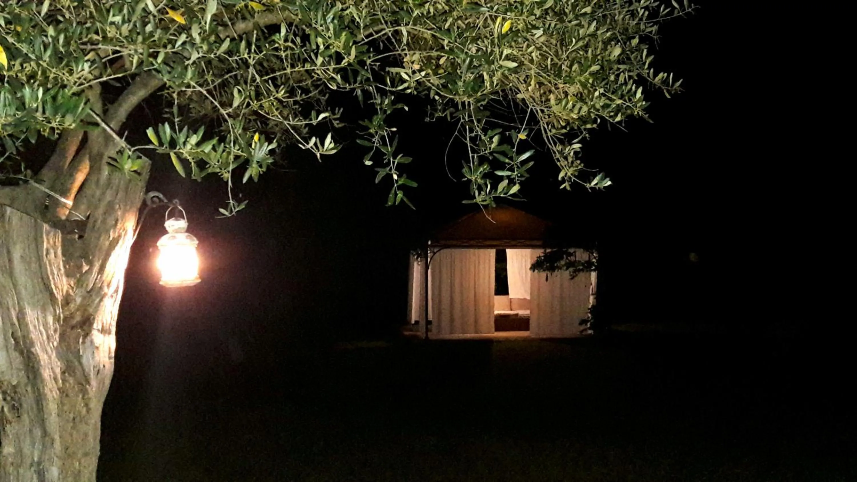 Night in Le Bumbarelle